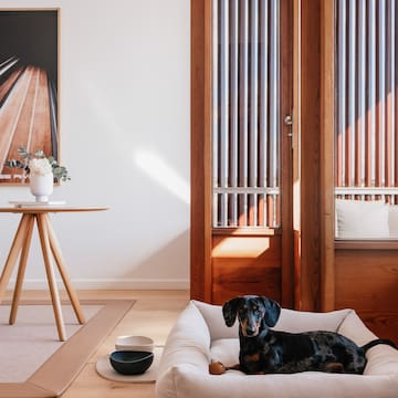 a dog lying on a dog bed