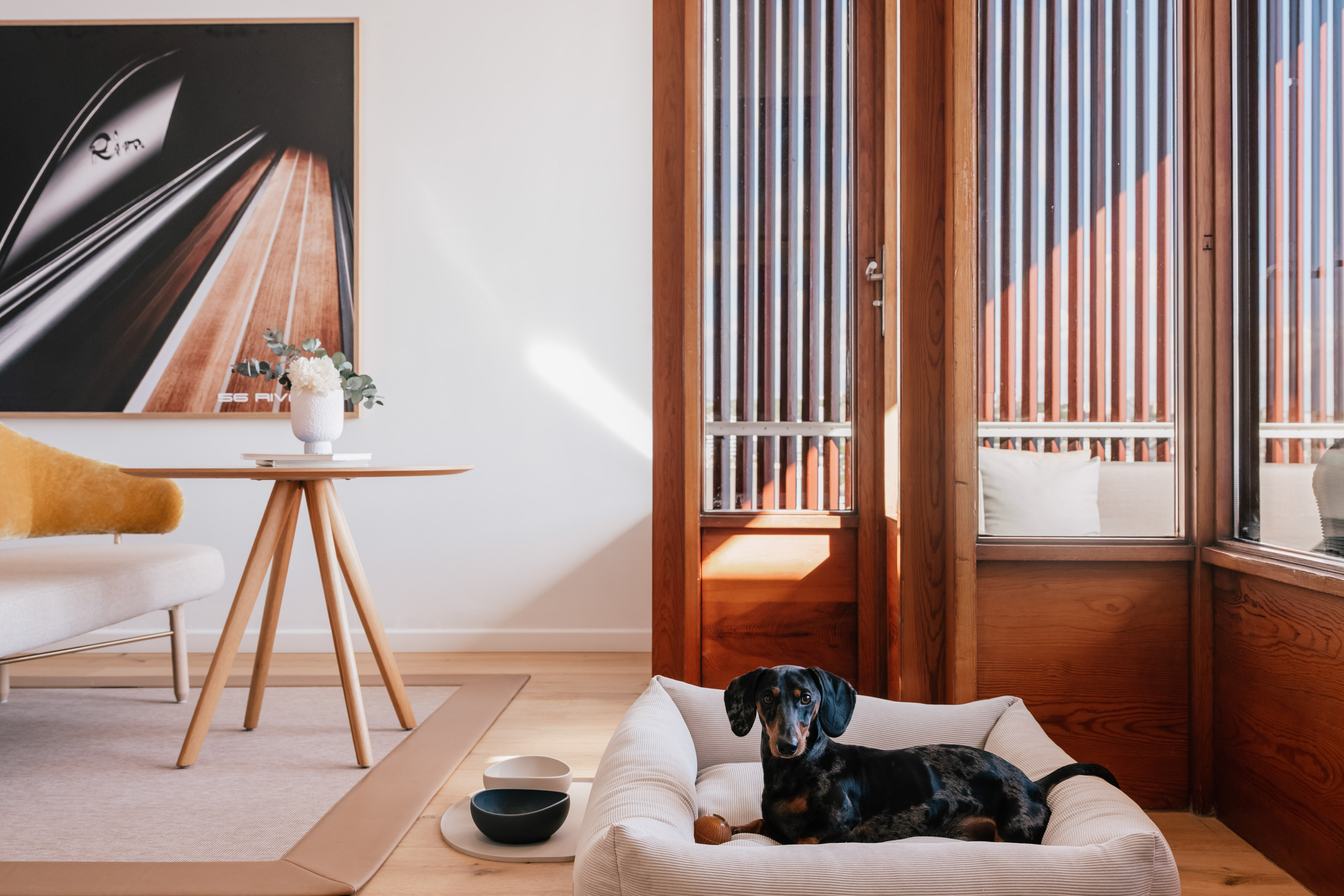 Cozy living room with dapple dachshund in pet bed, modern wood design.