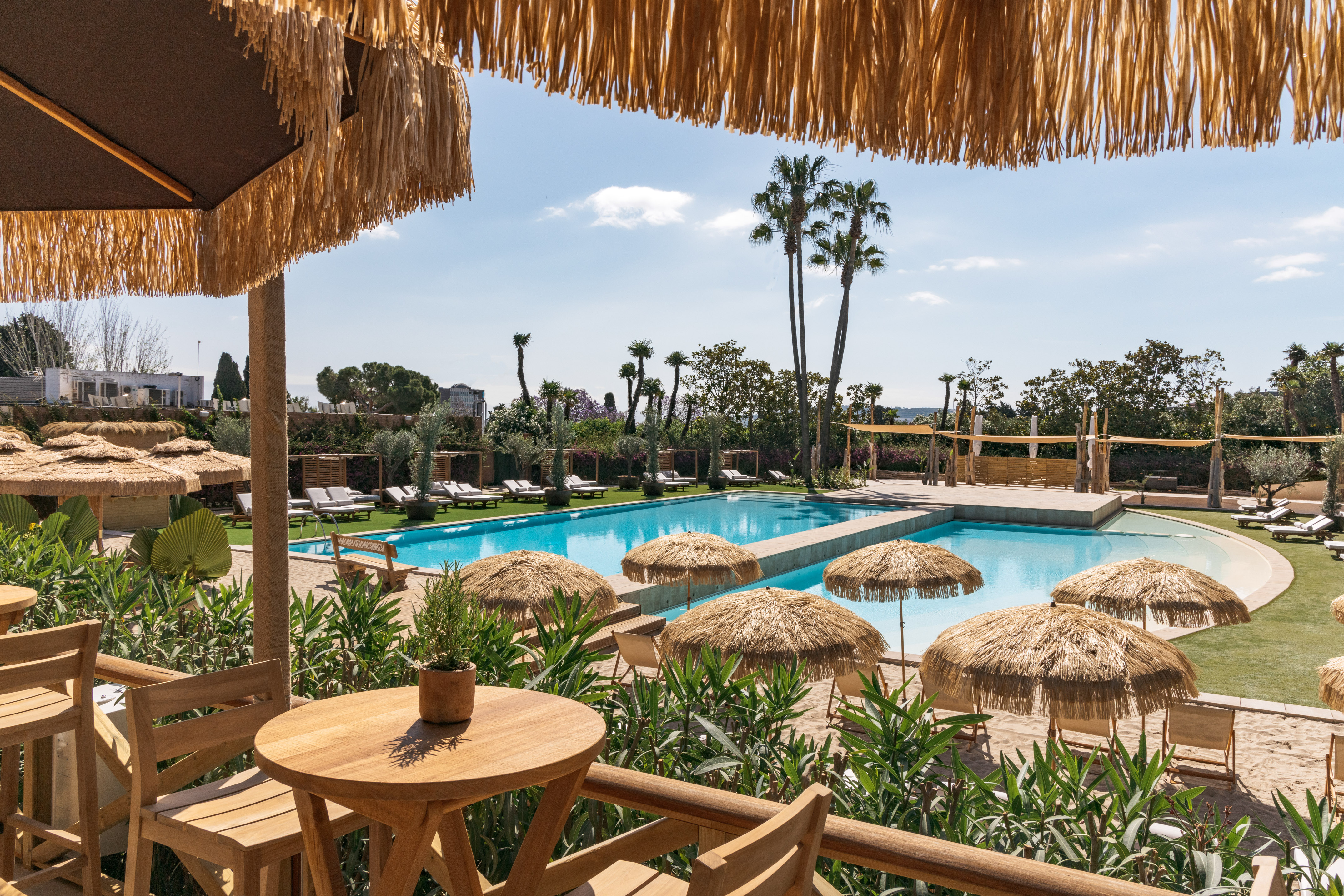 Sunny resort pool with straw umbrellas, lounge chairs, and palm trees.