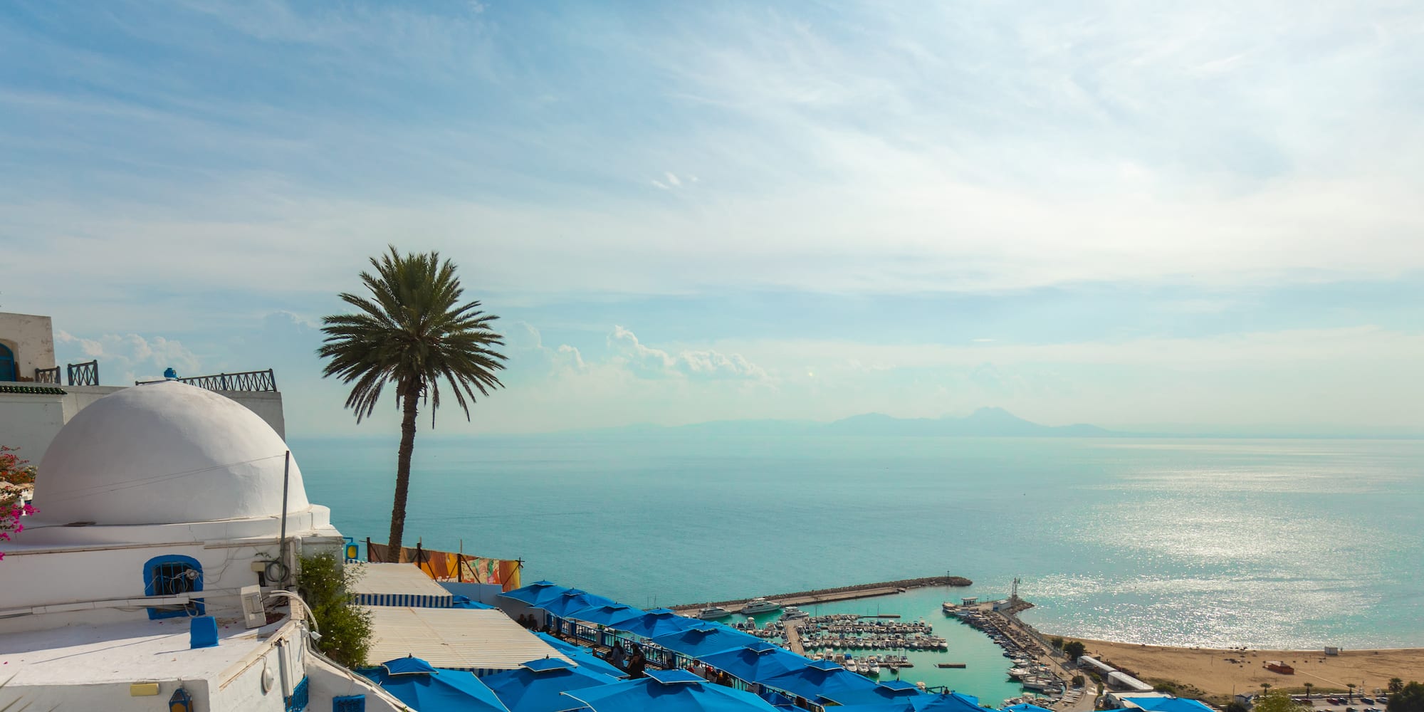 Sidi Bou Said: casas blancas, palmera, sombrillas azules, puerto y mar.