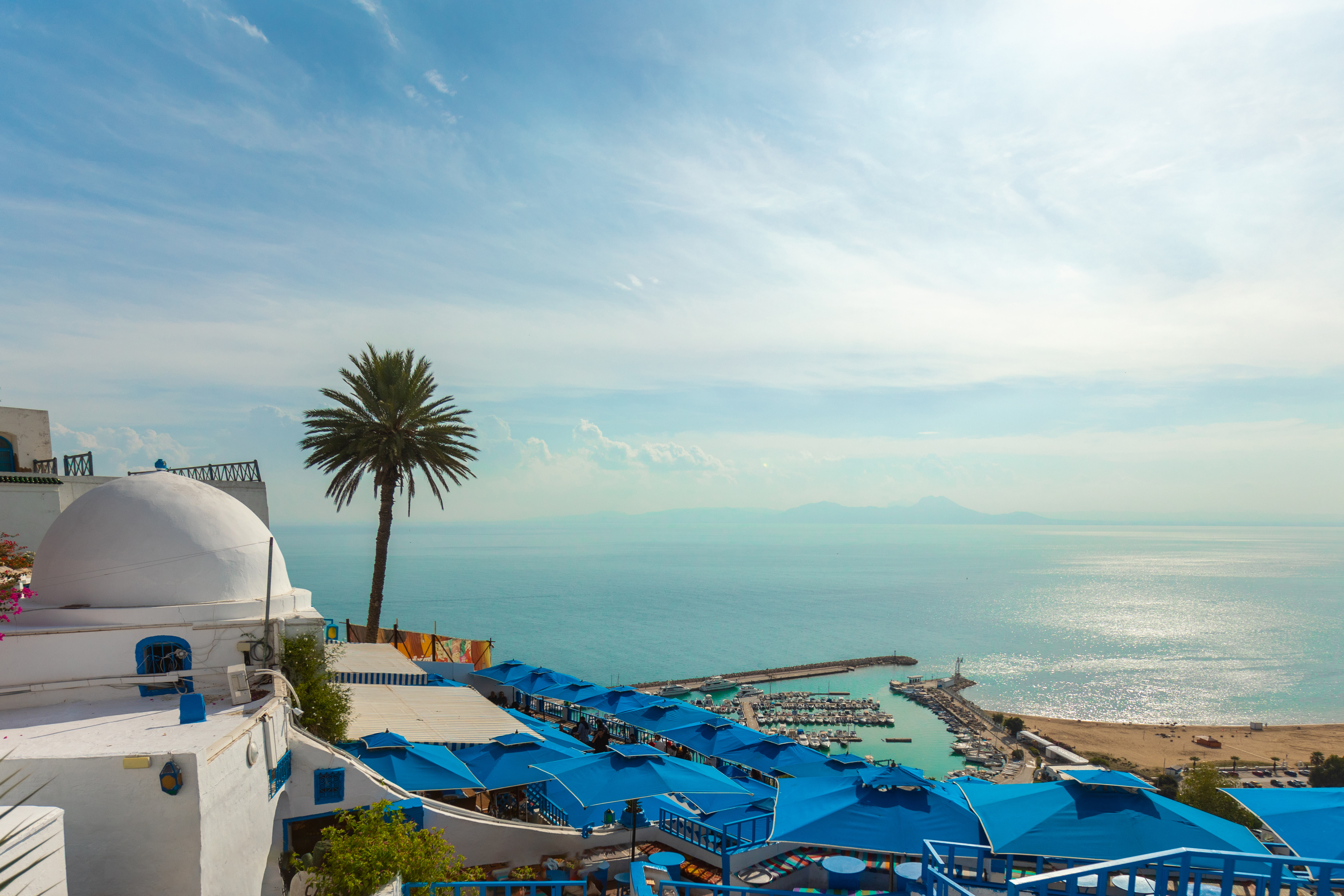 Sidi Bou Said: casas blancas, palmera, sombrillas azules, puerto y mar.