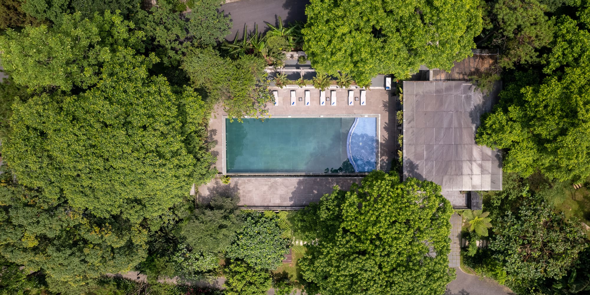 a pool surrounded by trees