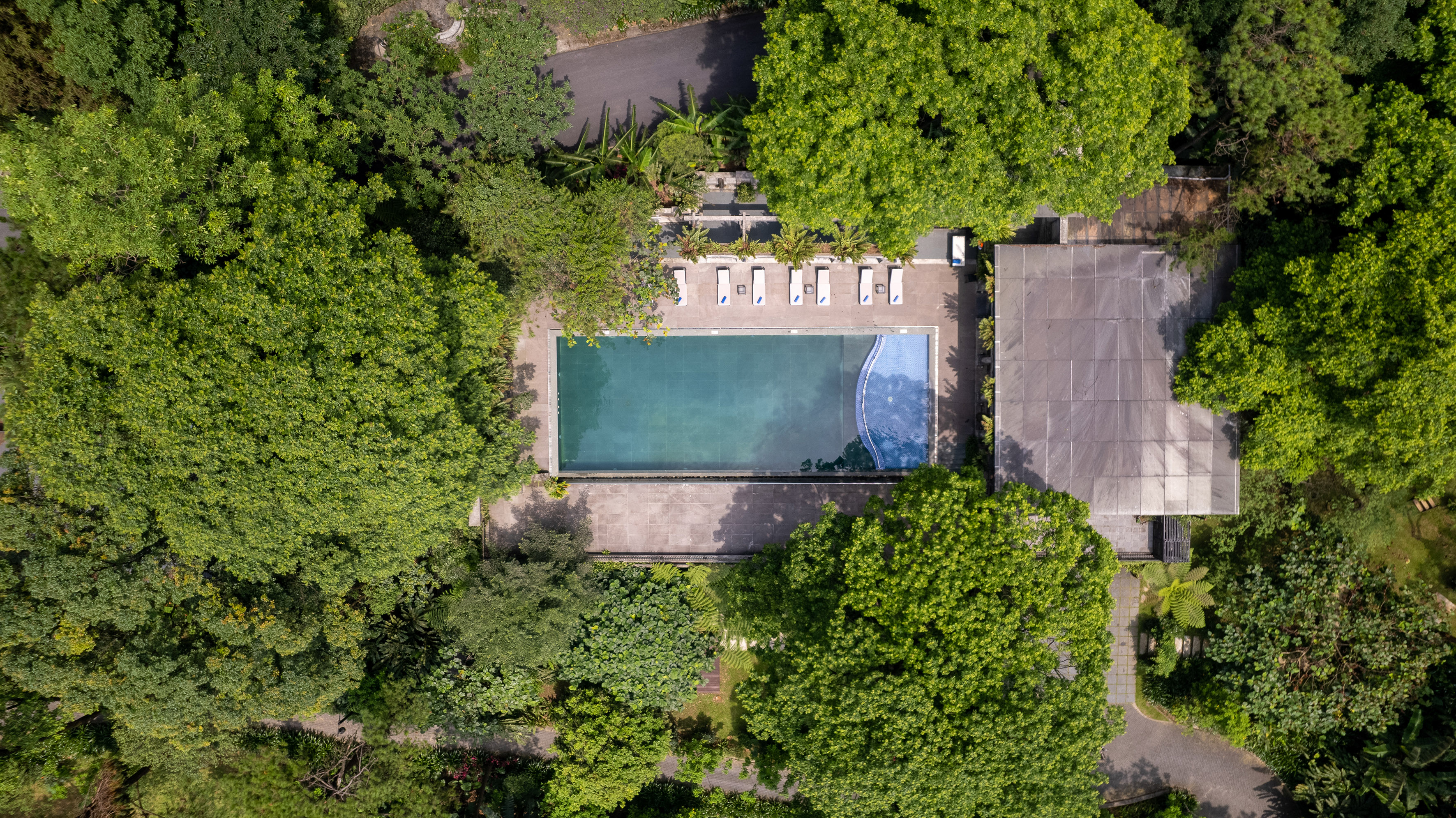 a pool surrounded by trees