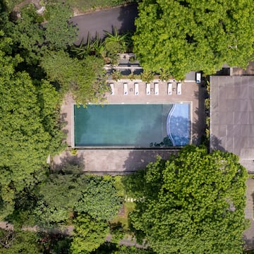 a pool surrounded by trees