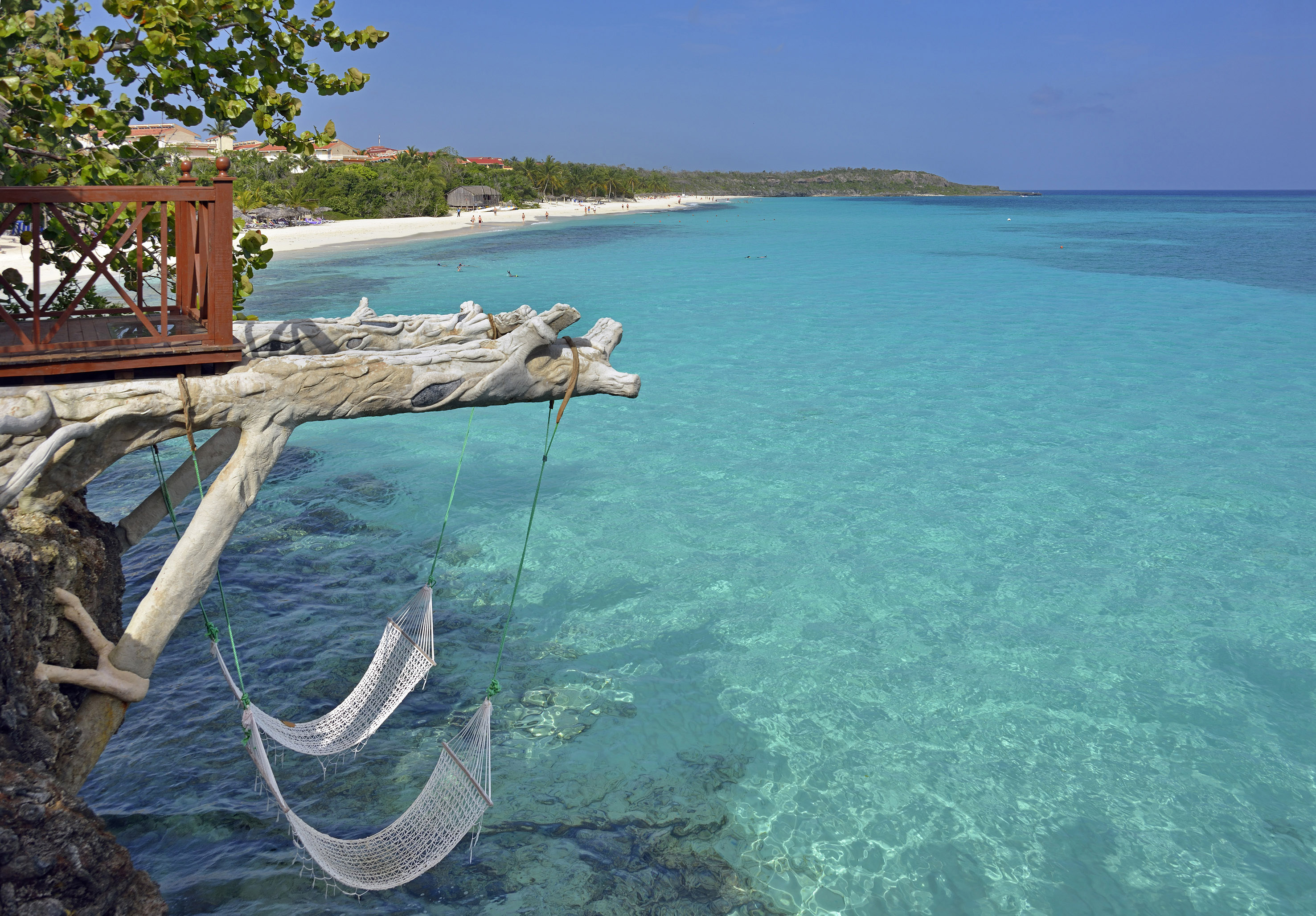 hammocks from a tree over a beach