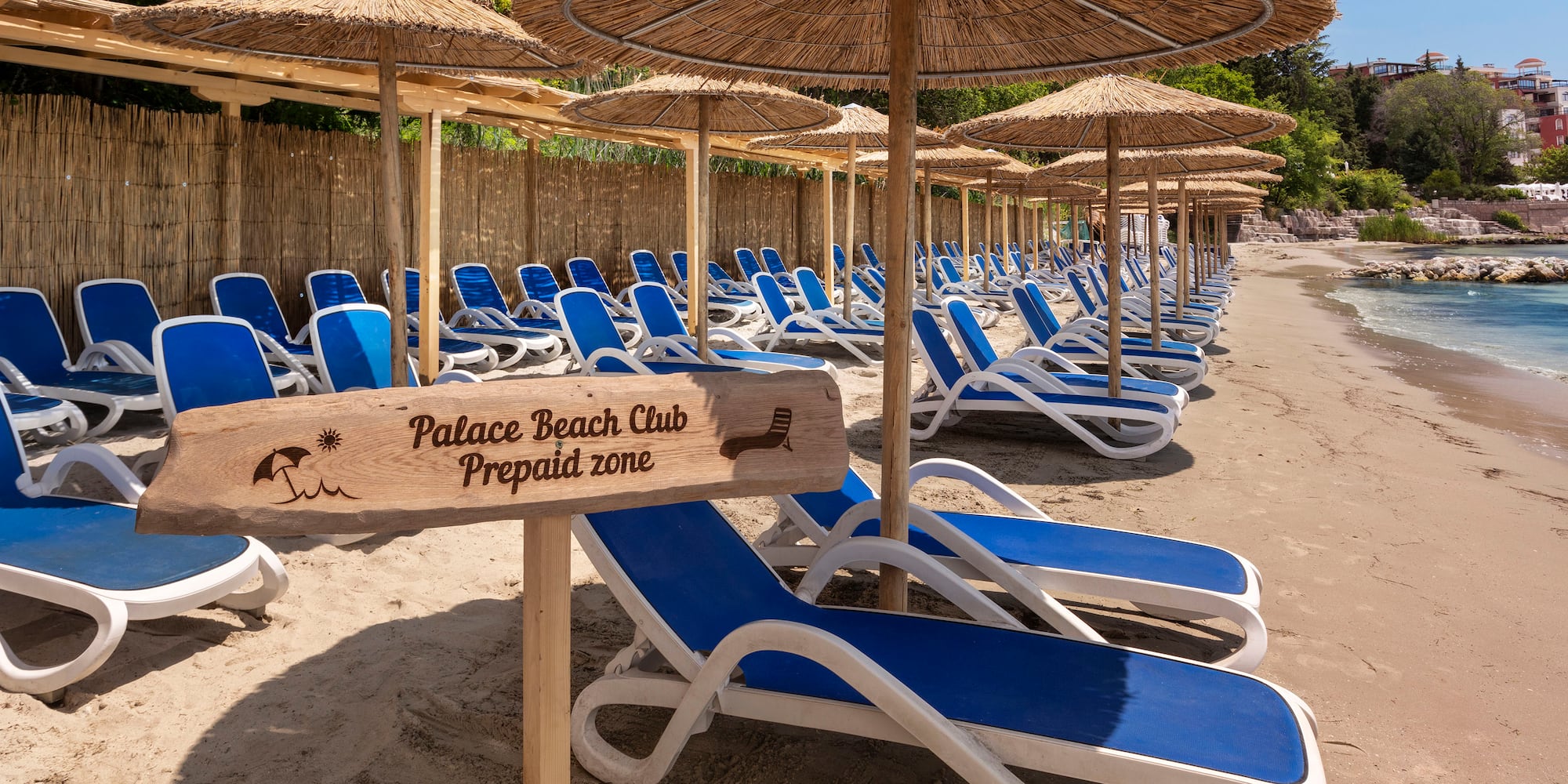 a group of chairs and umbrellas on a beach