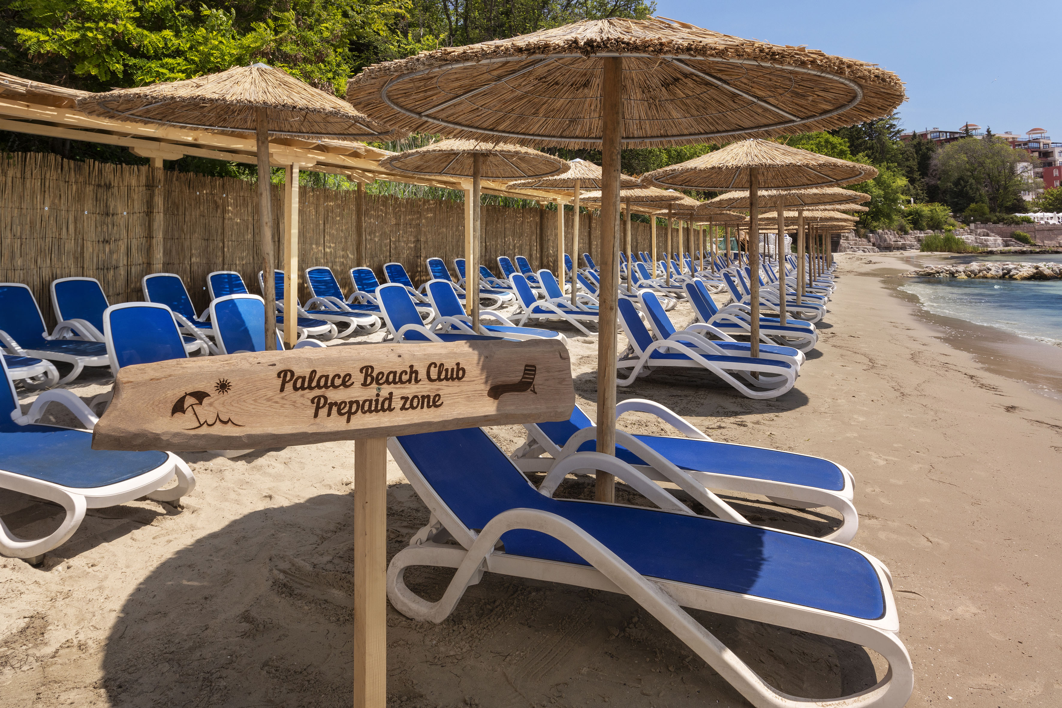 a group of chairs and umbrellas on a beach
