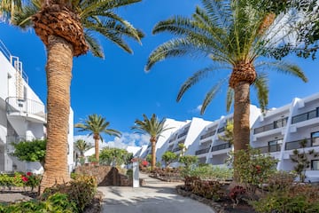 a walkway between palm trees