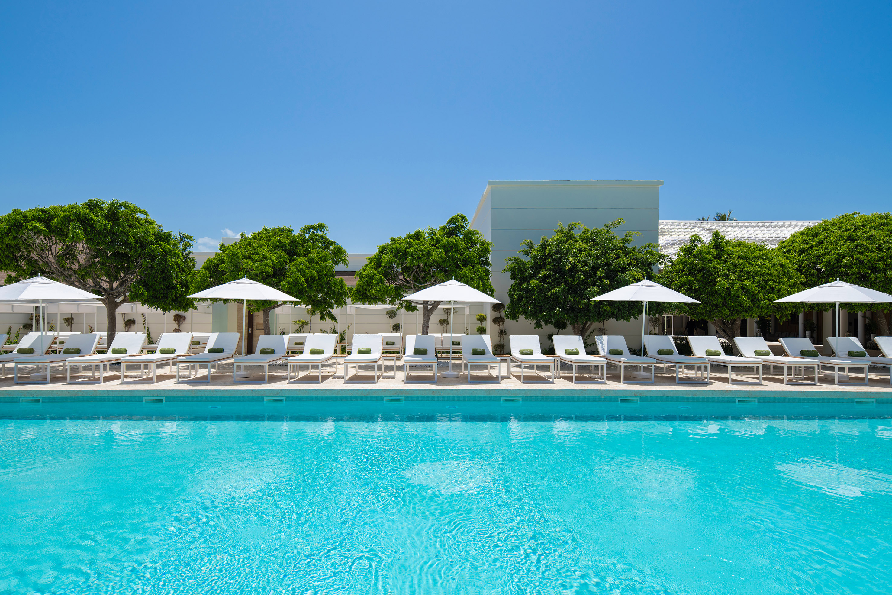 Hotel swimming pool with white lounge chairs, umbrellas, and green trees.