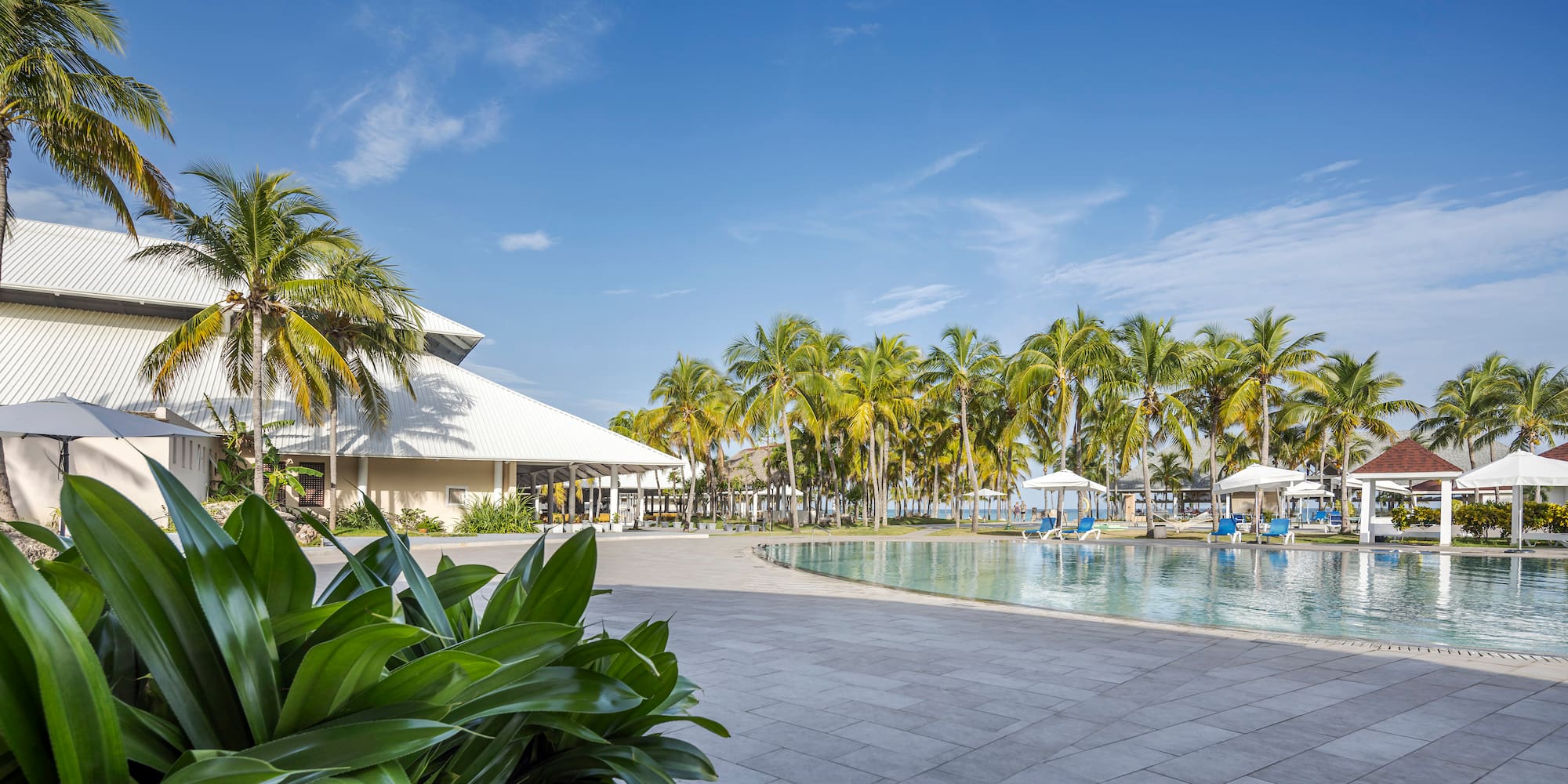 a pool with palm trees and a building