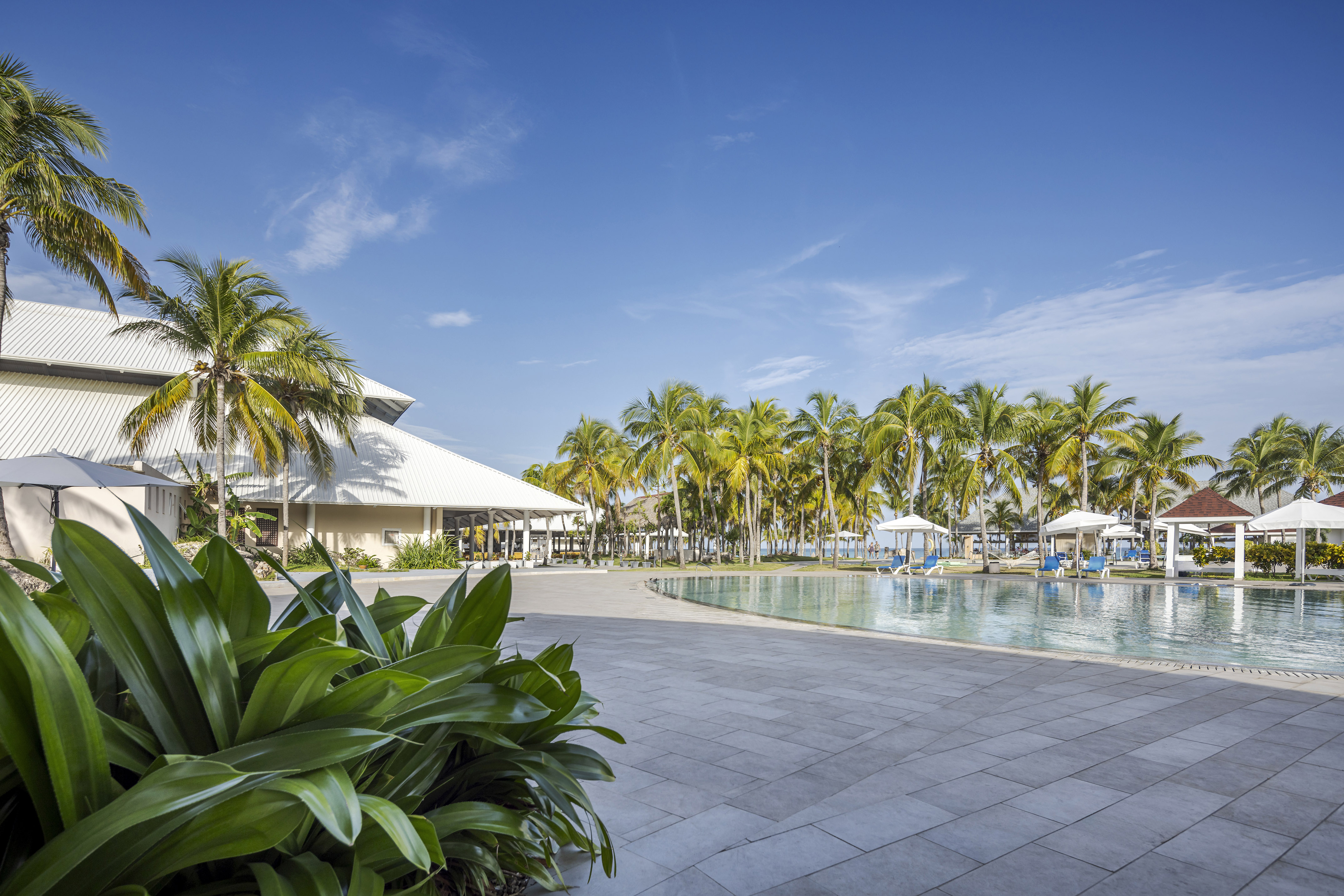 a pool with palm trees and a building