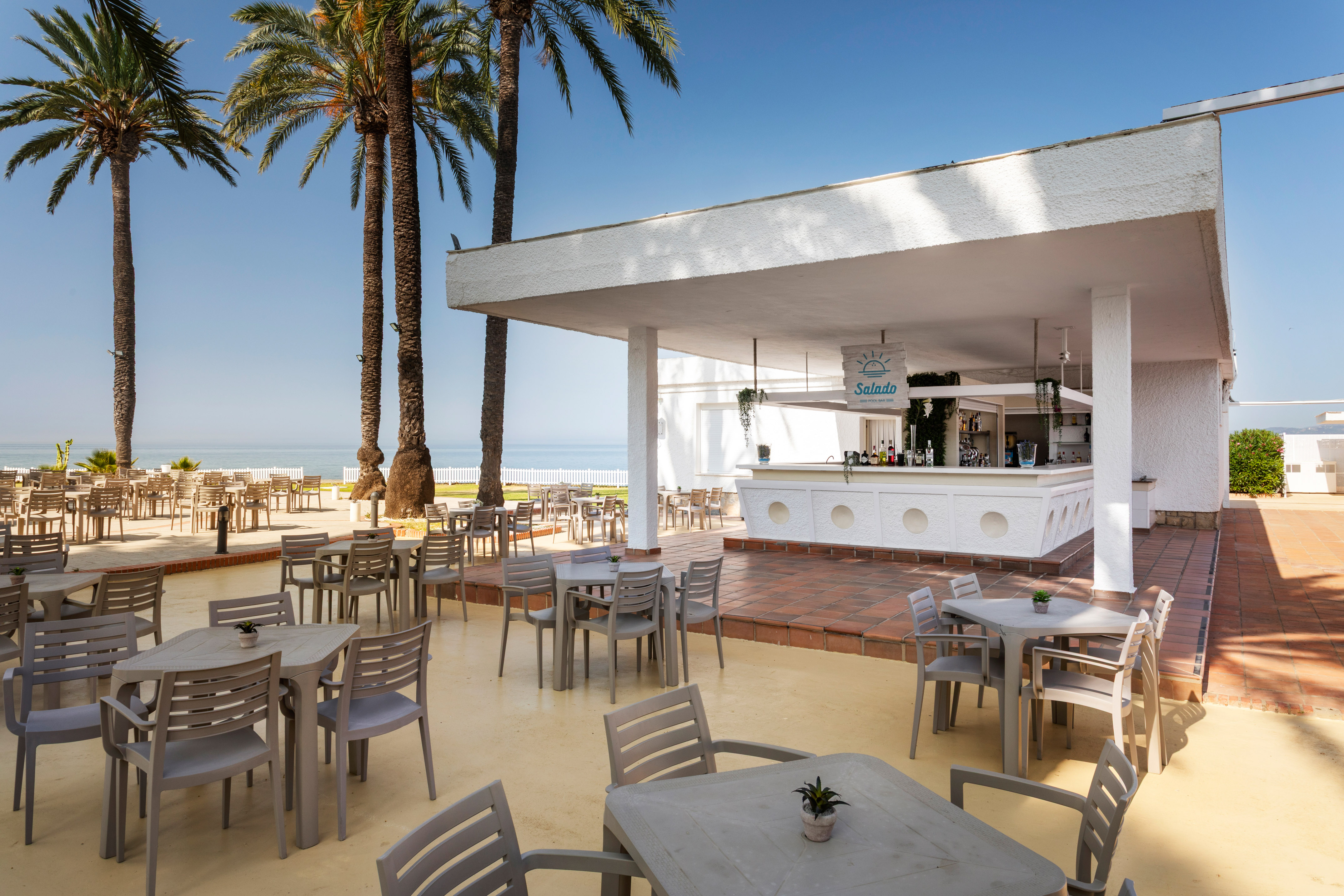 Salado beach bar with outdoor seating, palm trees, and ocean view.