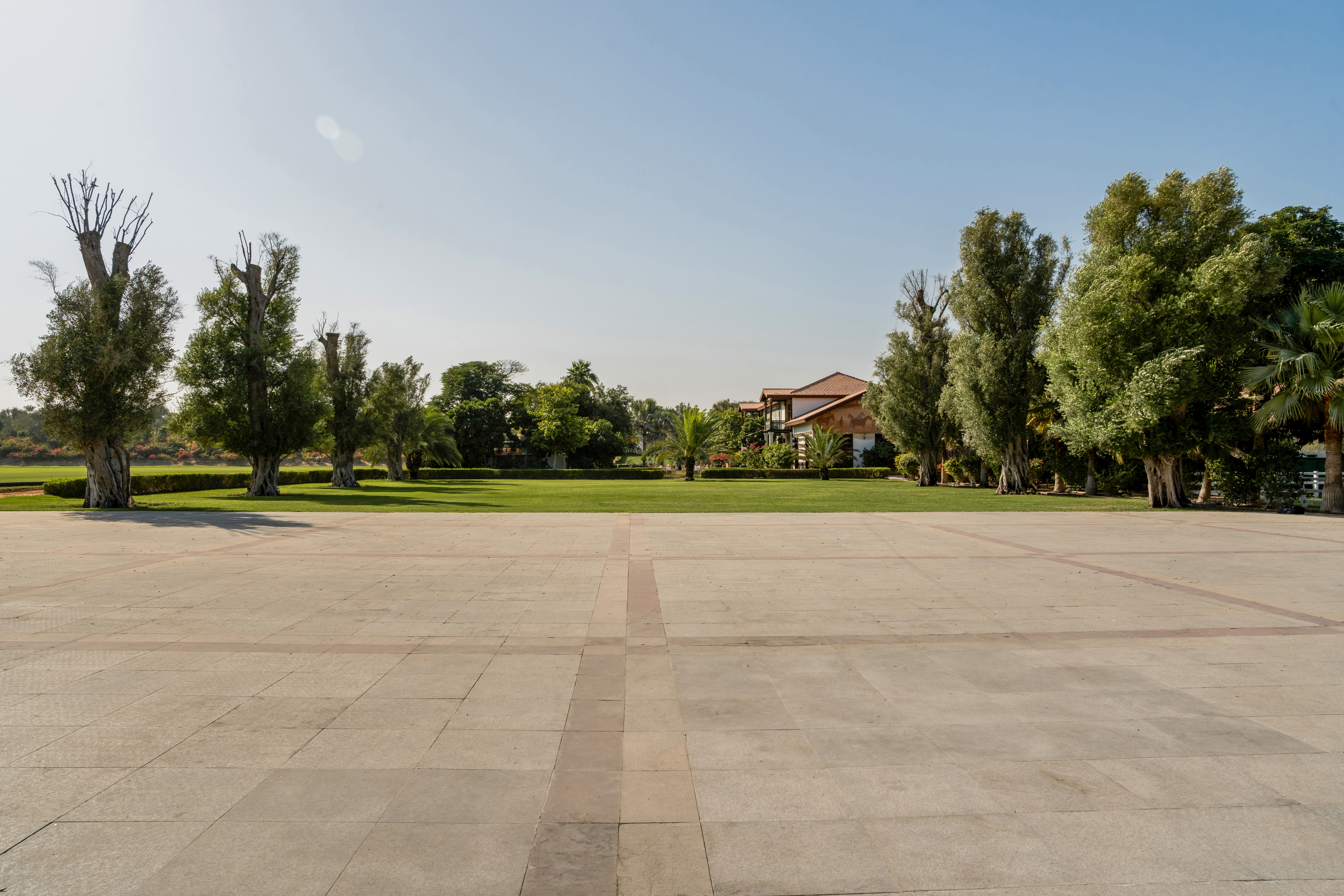 Large paved courtyard, green lawn, mature trees, and a building in sunny landscape.