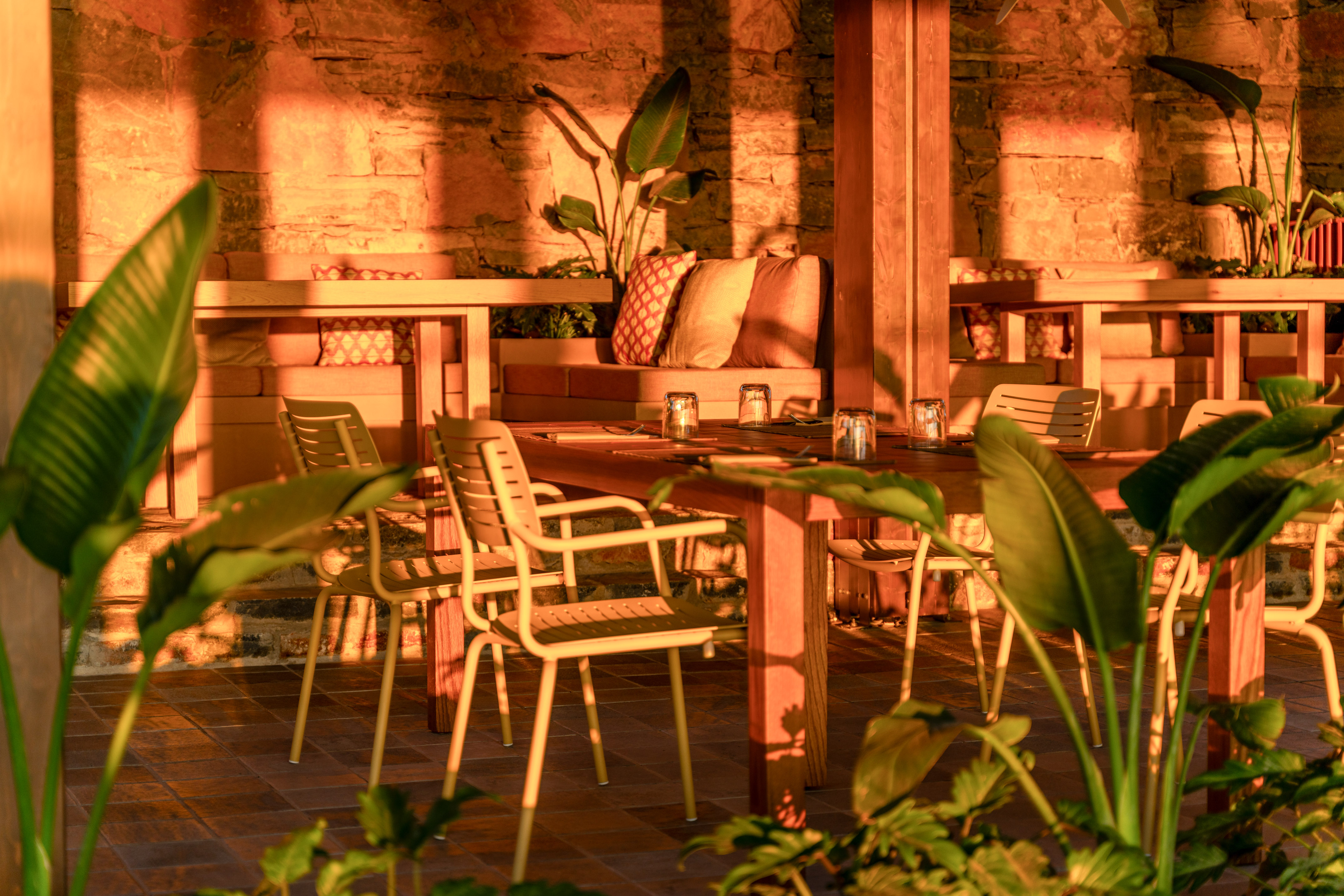 Outdoor dining patio, tables, chairs, and tropical plants in warm golden hour light.