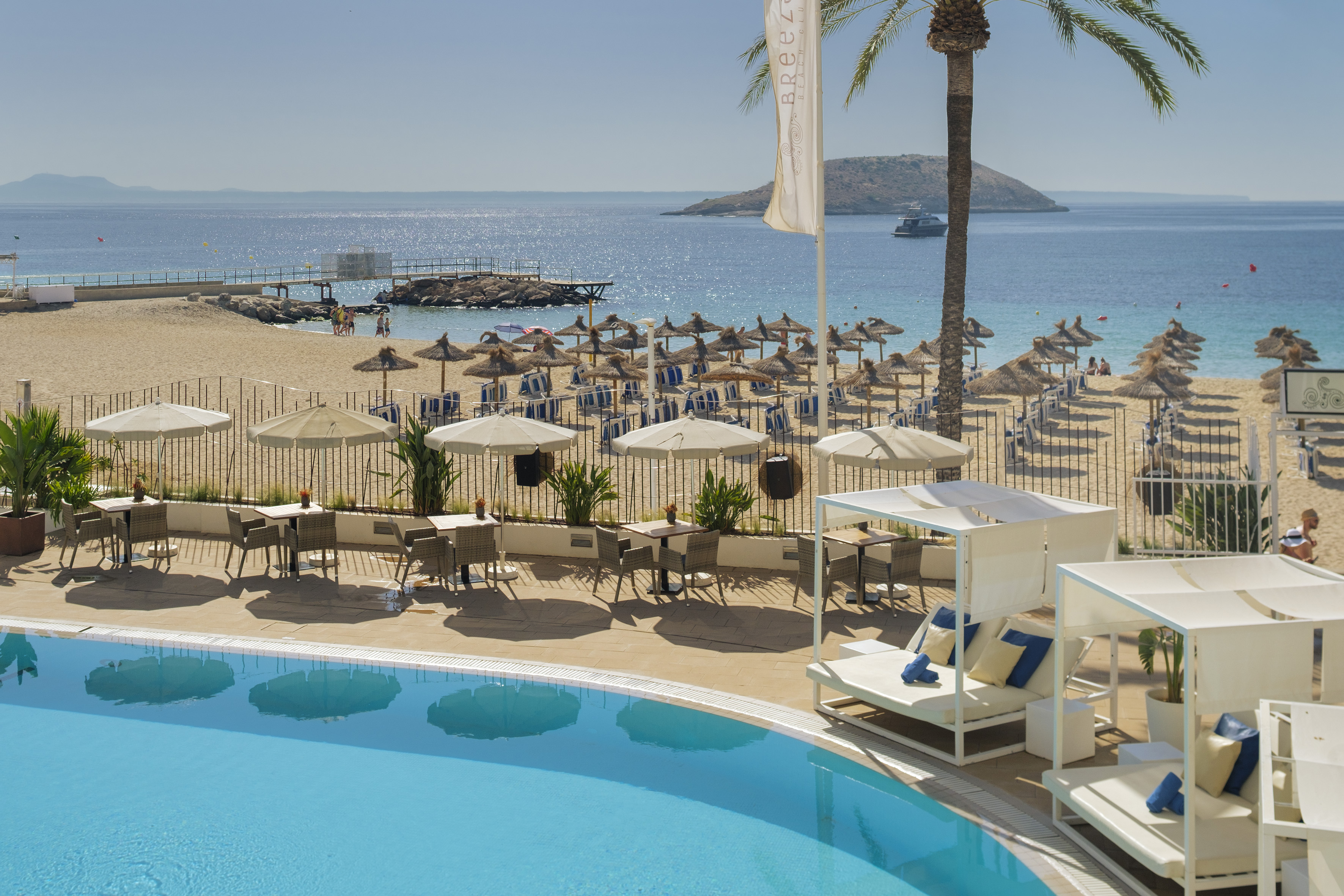 Hotel pool overlooking a sunny beach with straw umbrellas, ocean, and palm tree.
