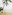 Woman relaxing on sandy tropical beach under palm tree, facing ocean.