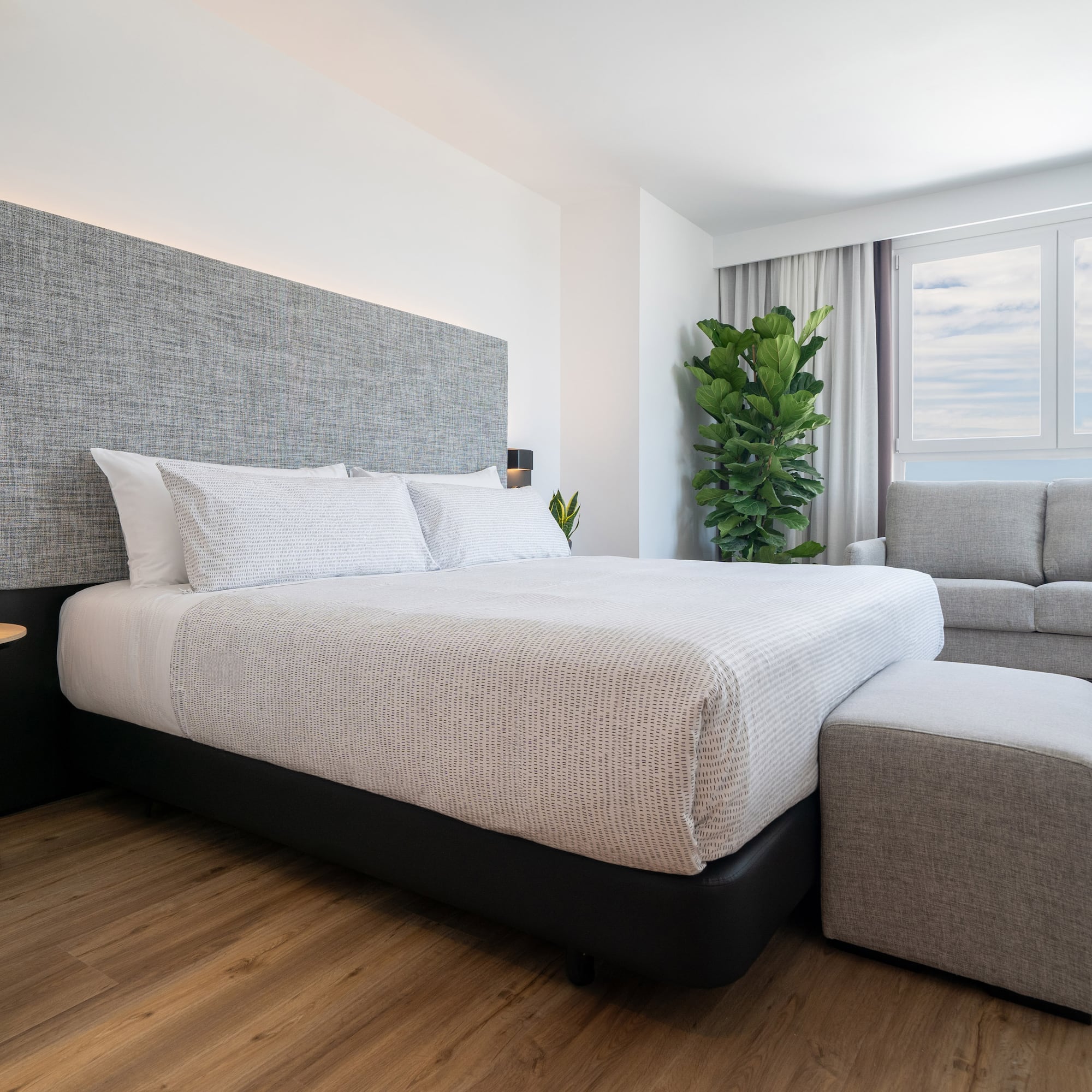 a bedroom with a bed and a couch