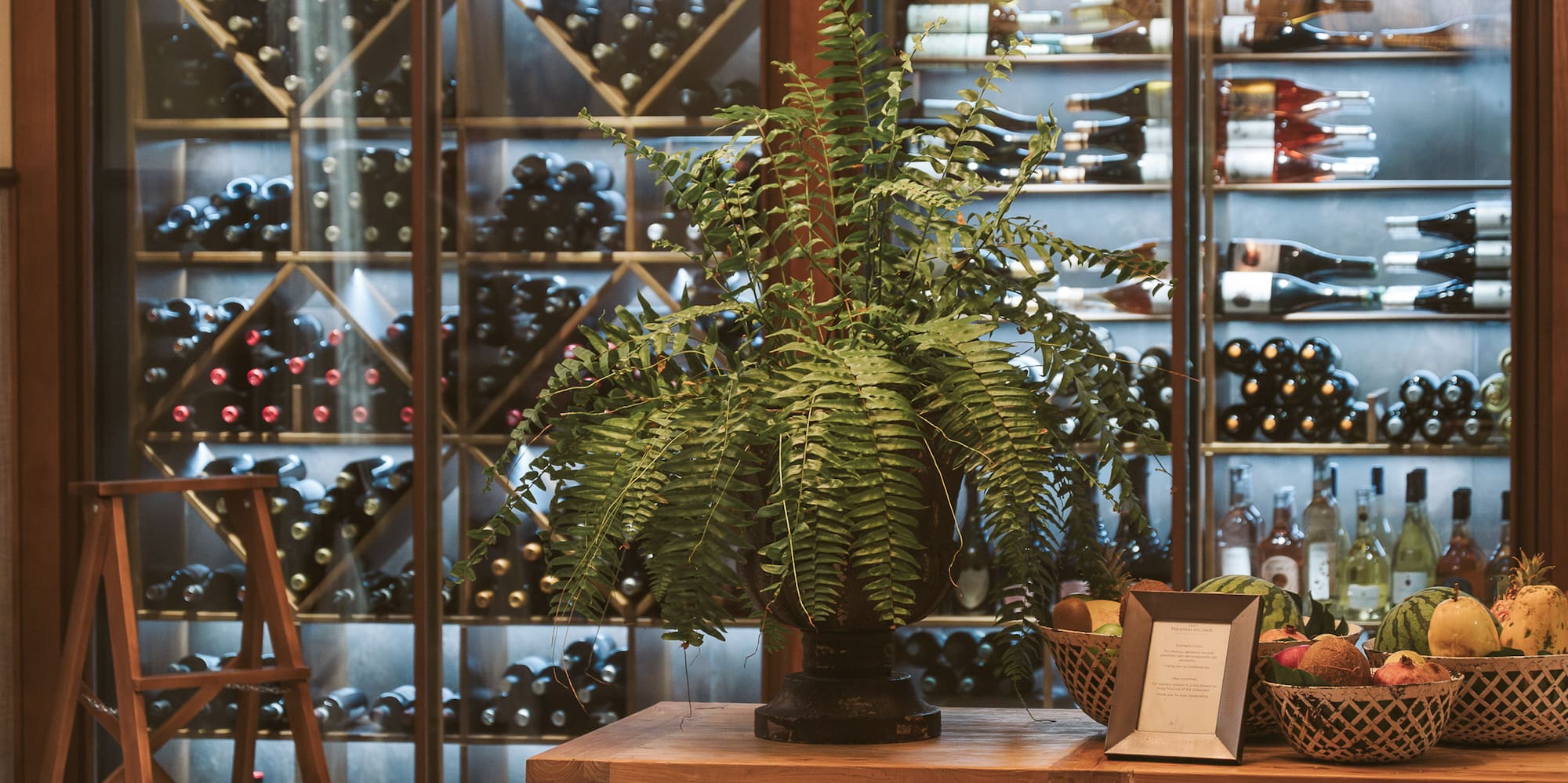 a table with a plant on it and a basket of fruit on it