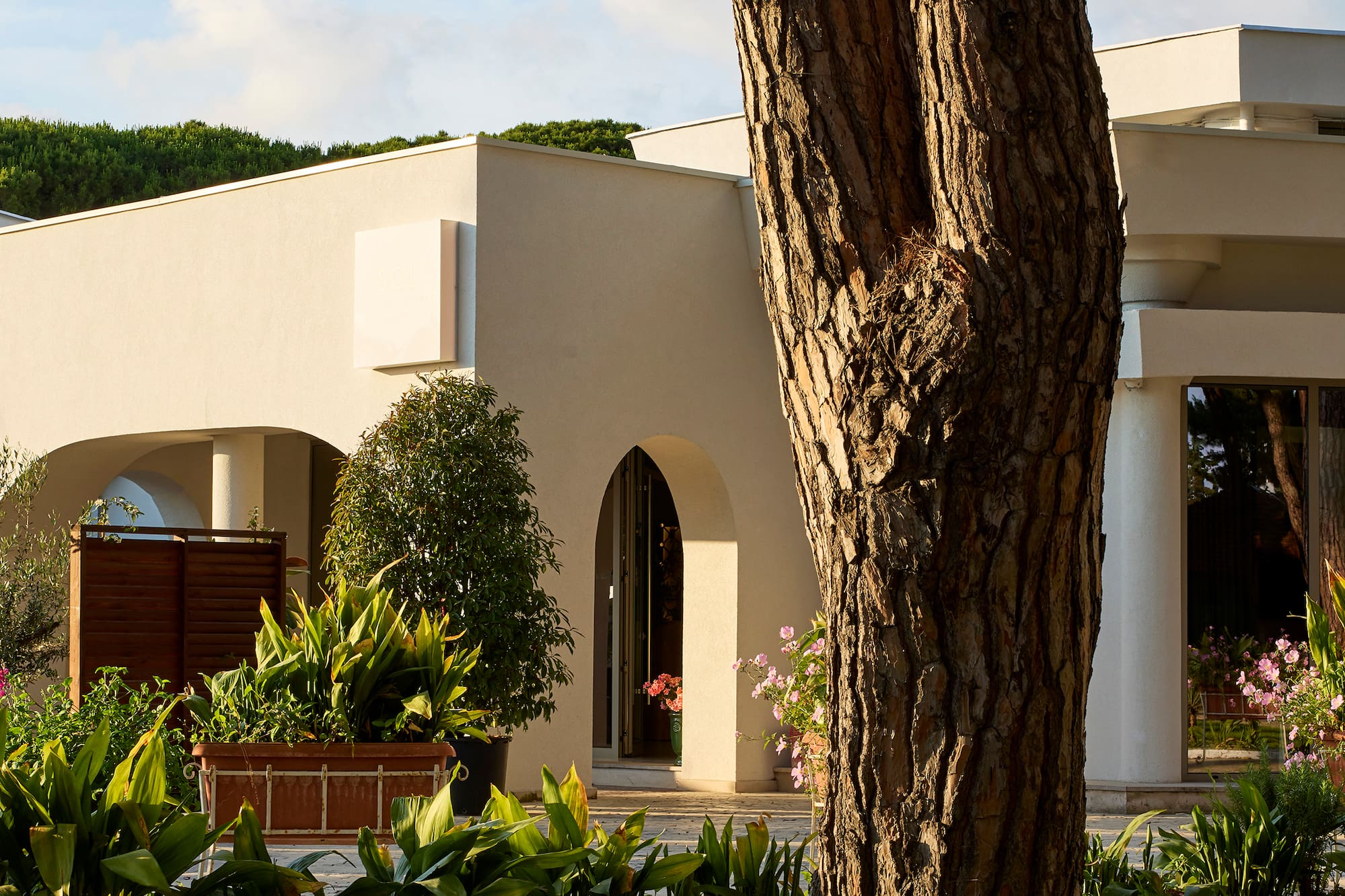 Modern villa, lush landscaped garden, prominent tree trunk, and arched entrance.