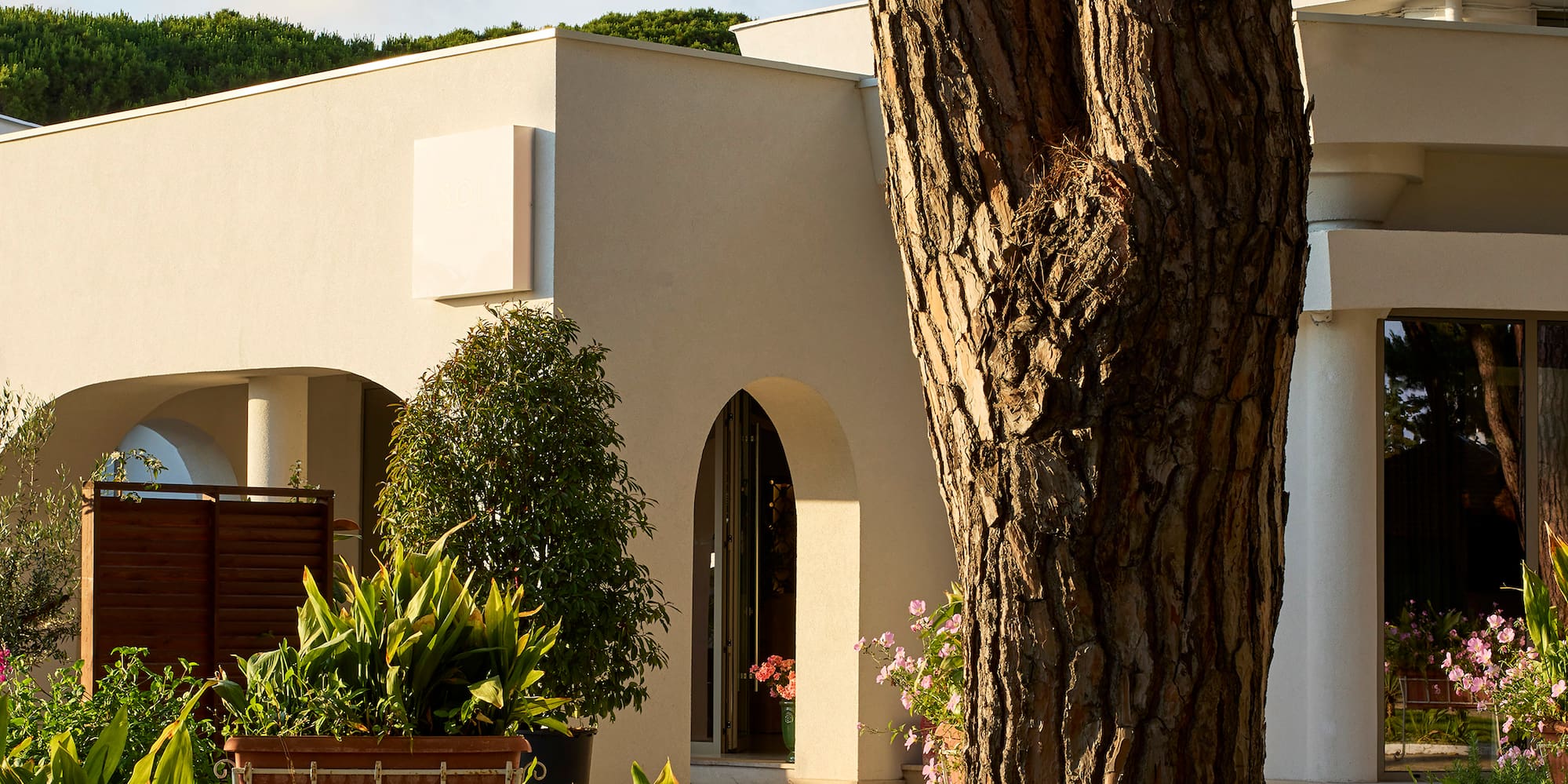 a white house with a large tree in front of it