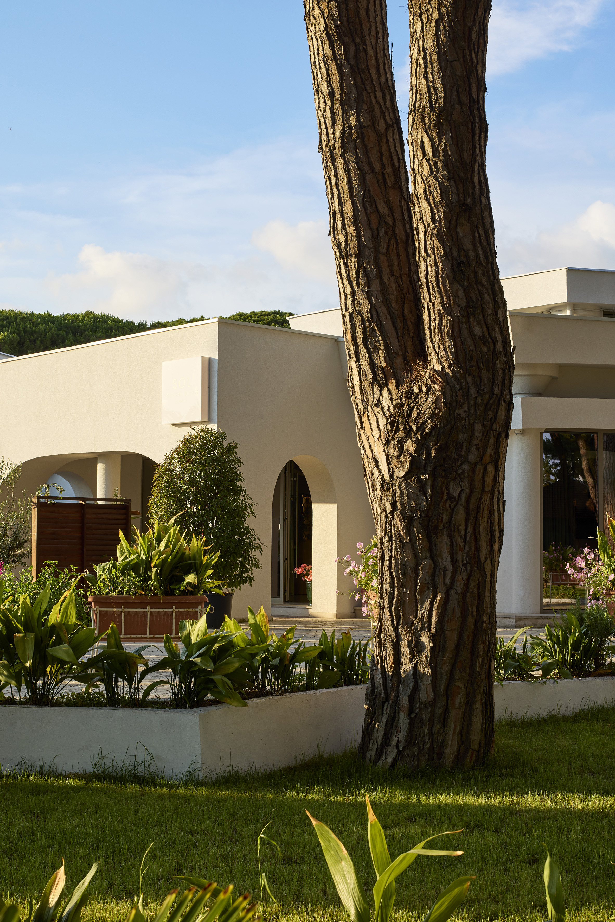 Modern villa, lush landscaped garden, prominent tree trunk, and arched entrance.