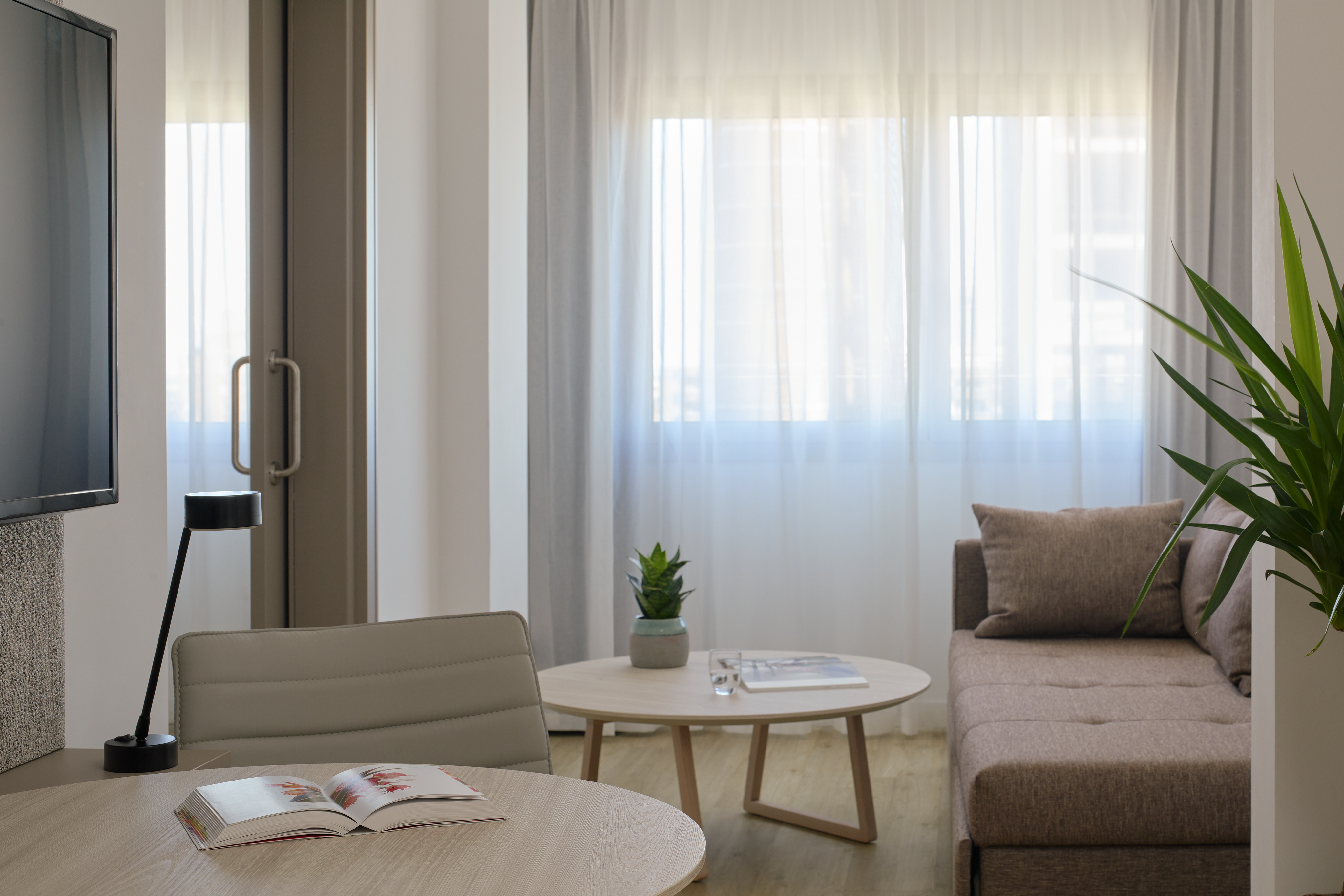 Modern studio apartment with brown sofa, coffee table, plants, sunlit window.