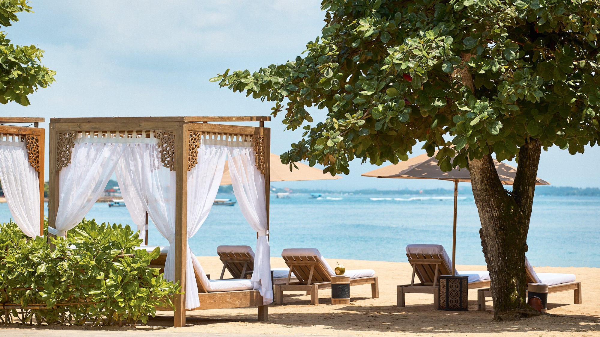 a beach with chairs and umbrellas