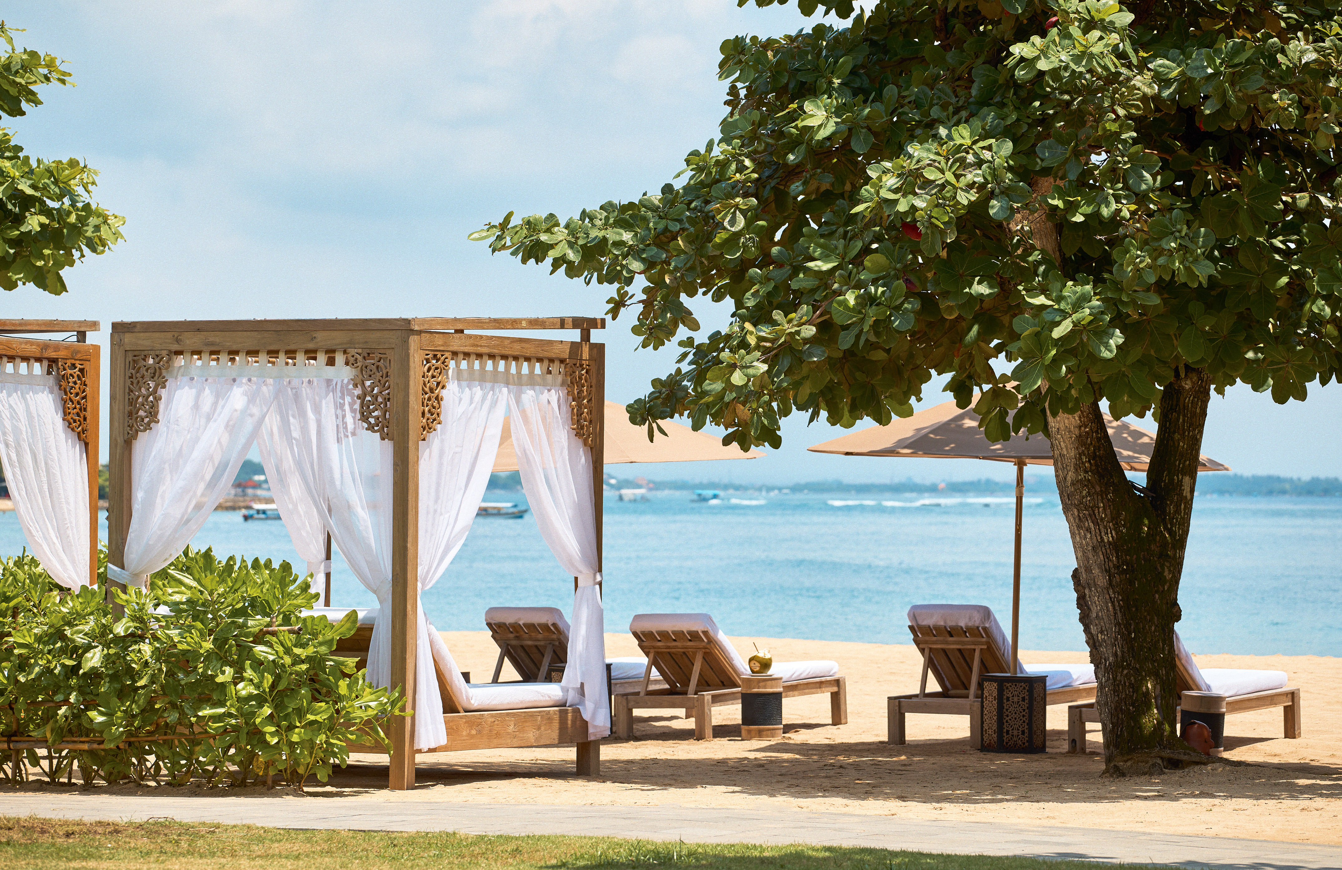 a beach with chairs and umbrellas