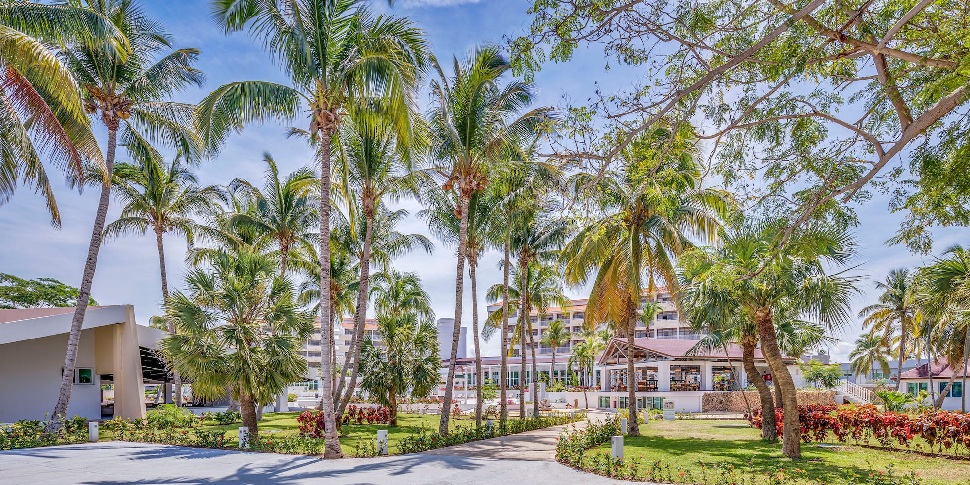 a road with palm trees and buildings