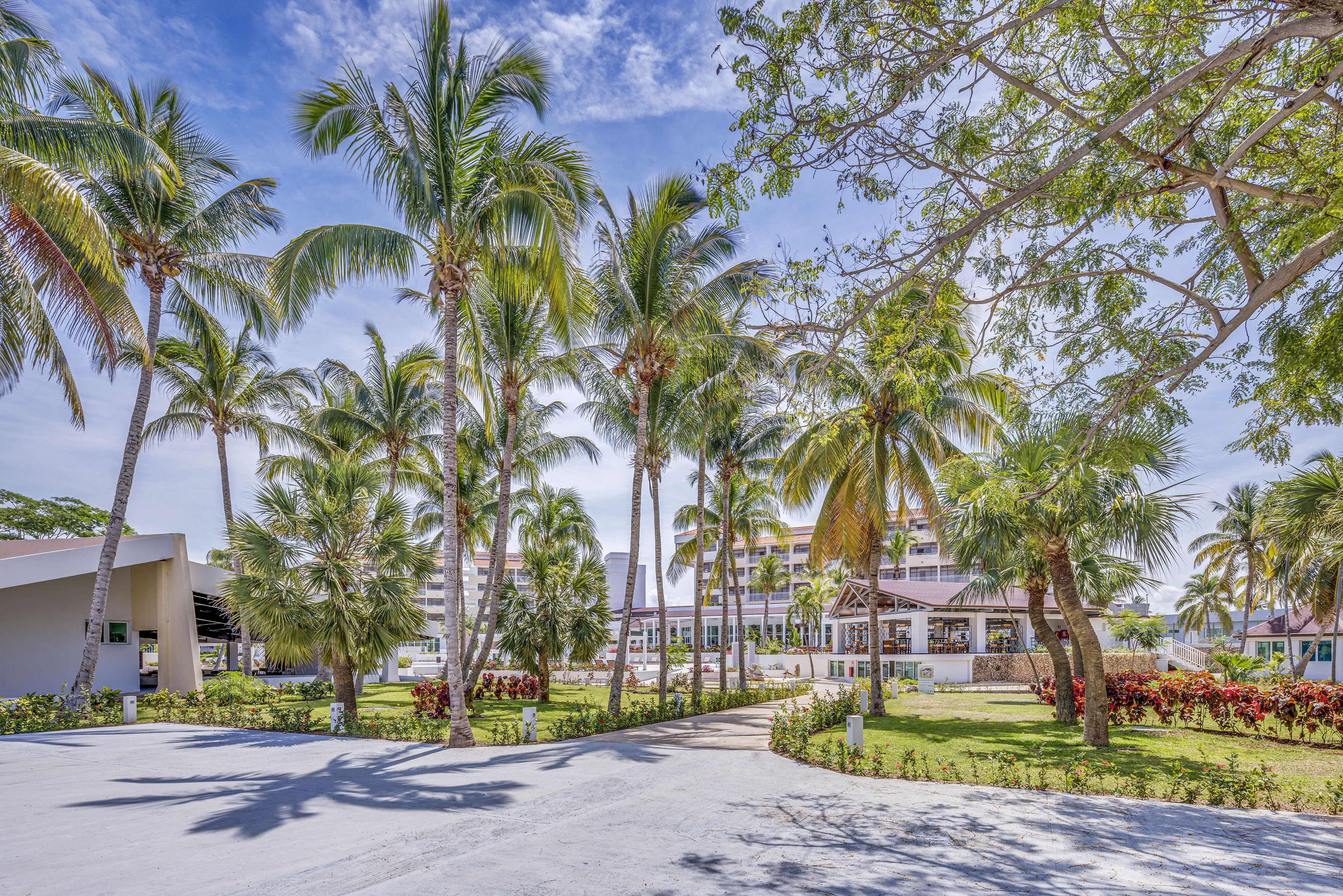 a road with palm trees and buildings