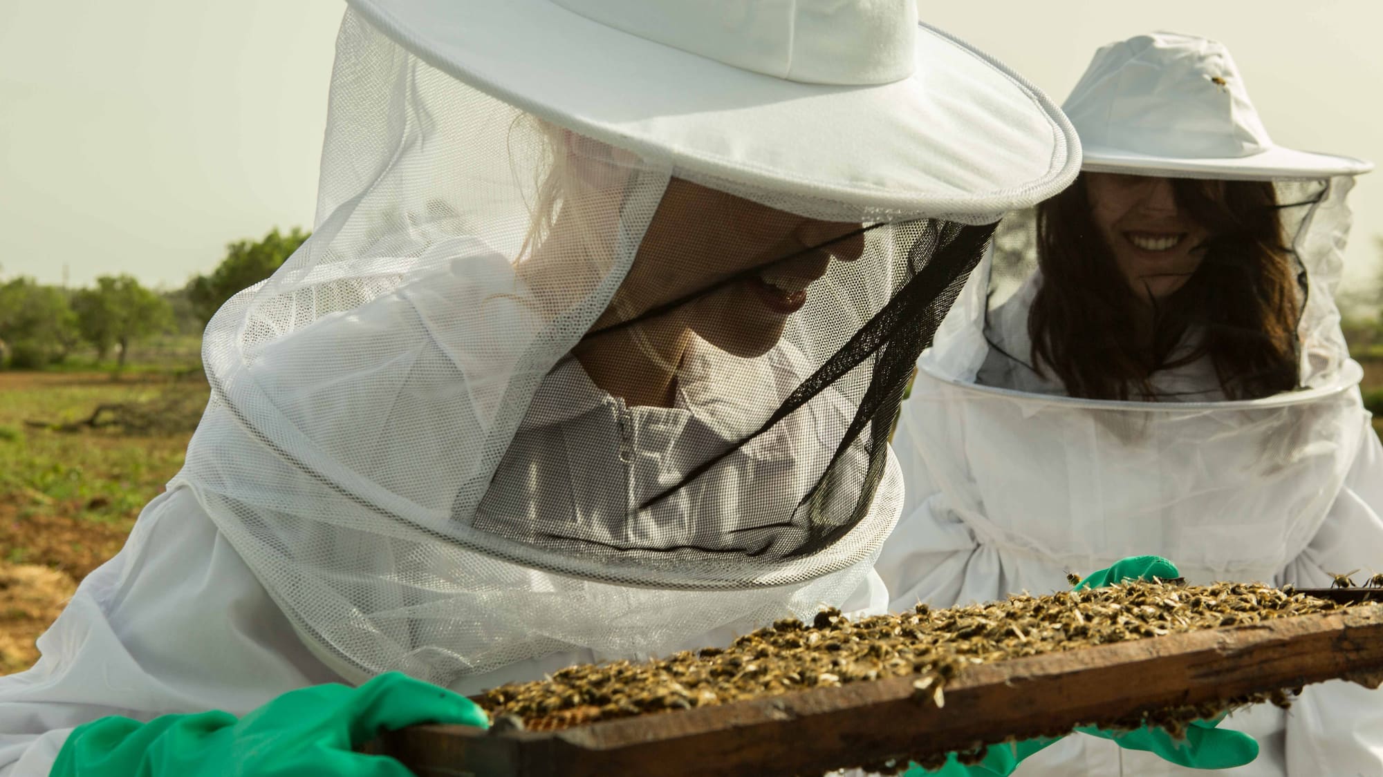 a group of people wearing white beehives and holding a wooden board