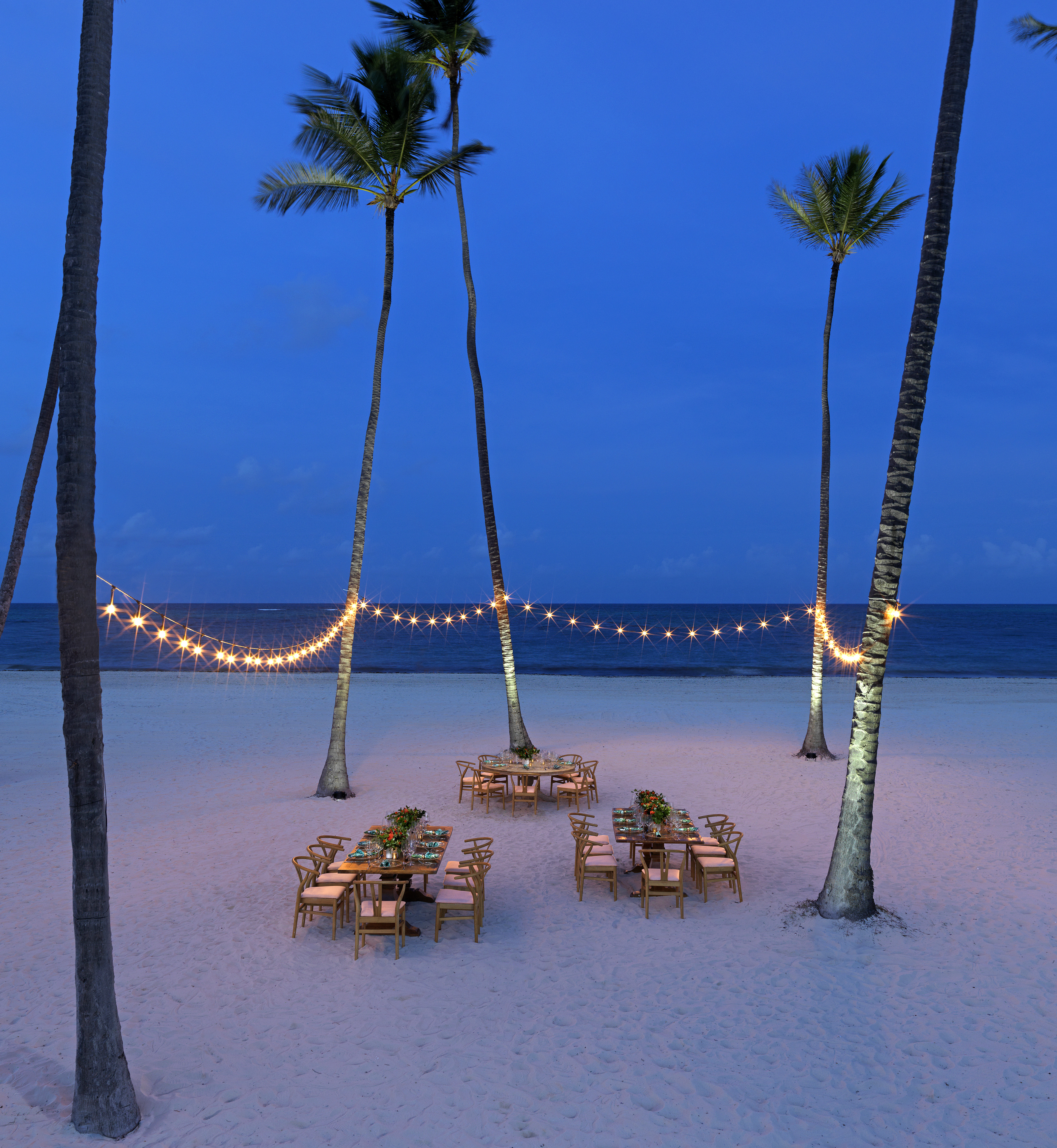 Tropical beach dinner setup with string lights, palm trees, and ocean at night.