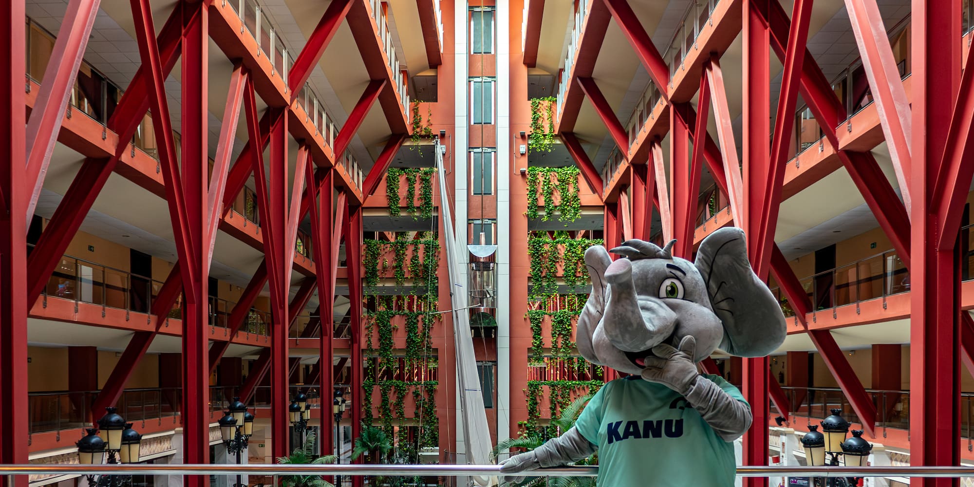 a person in an elephant garment