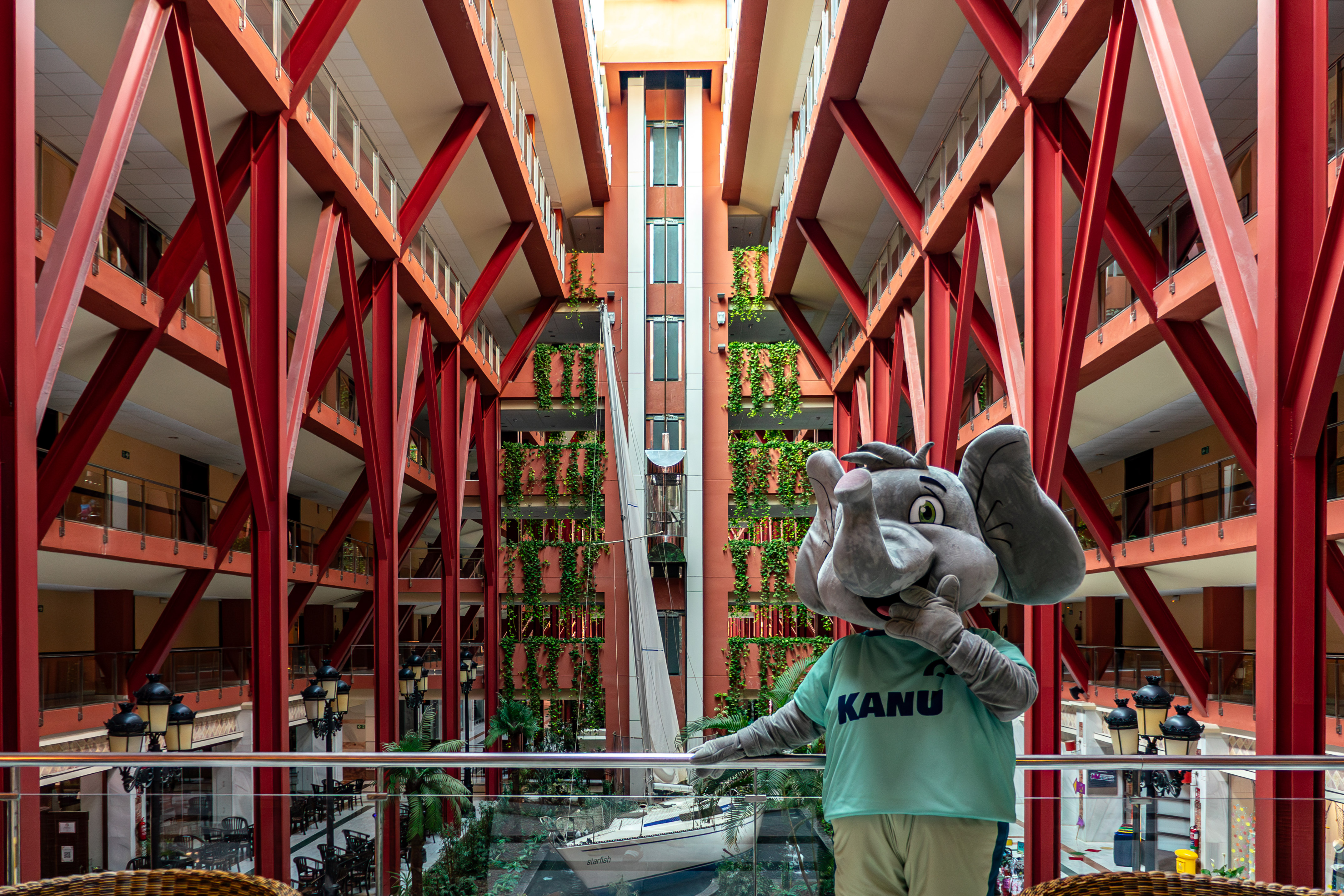 a person in an elephant garment