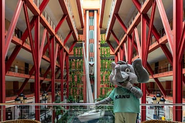 a person in an elephant garment