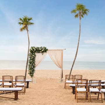 a beach with chairs and palm trees
