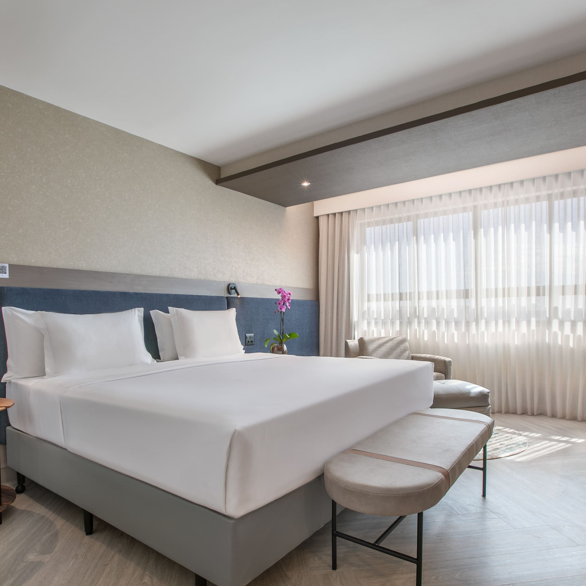 Clean, modern hotel room with king bed, blue headboard, desk, and bright window.