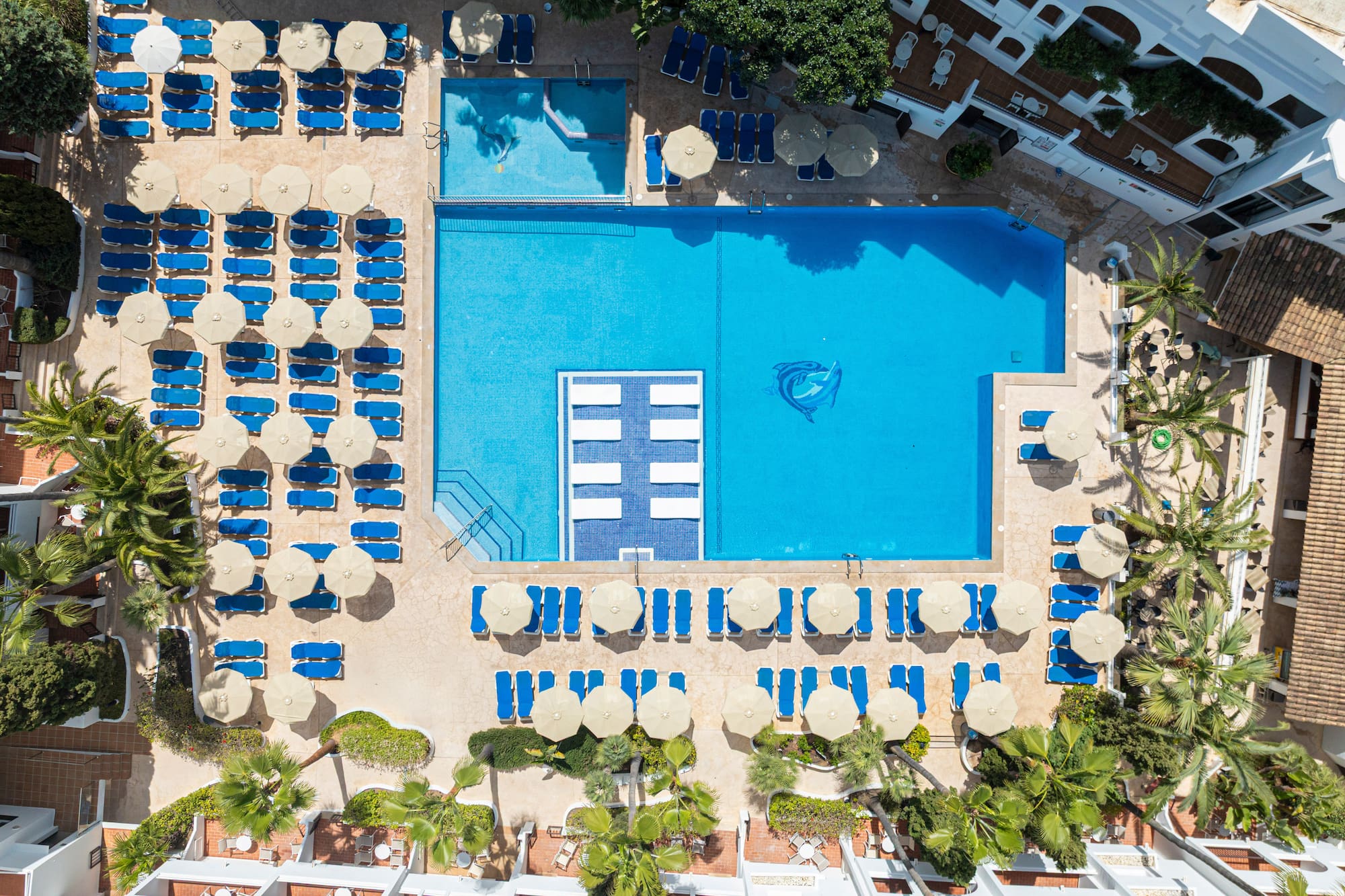 Aerial view: Hotel resort with large pool, blue lounge chairs, parasols, palm trees.