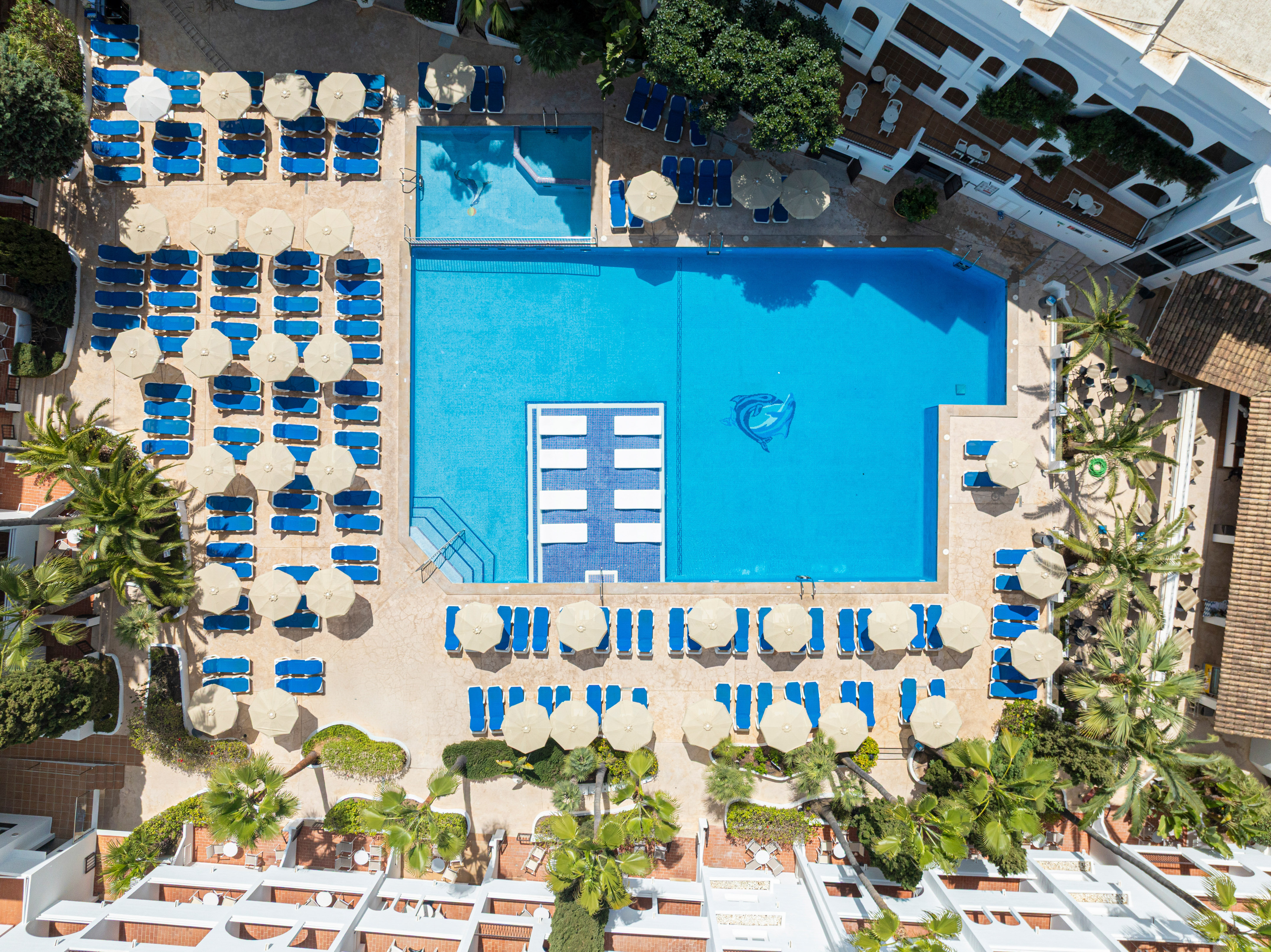Aerial view of sunny resort swimming pool with blue loungers and palm trees.