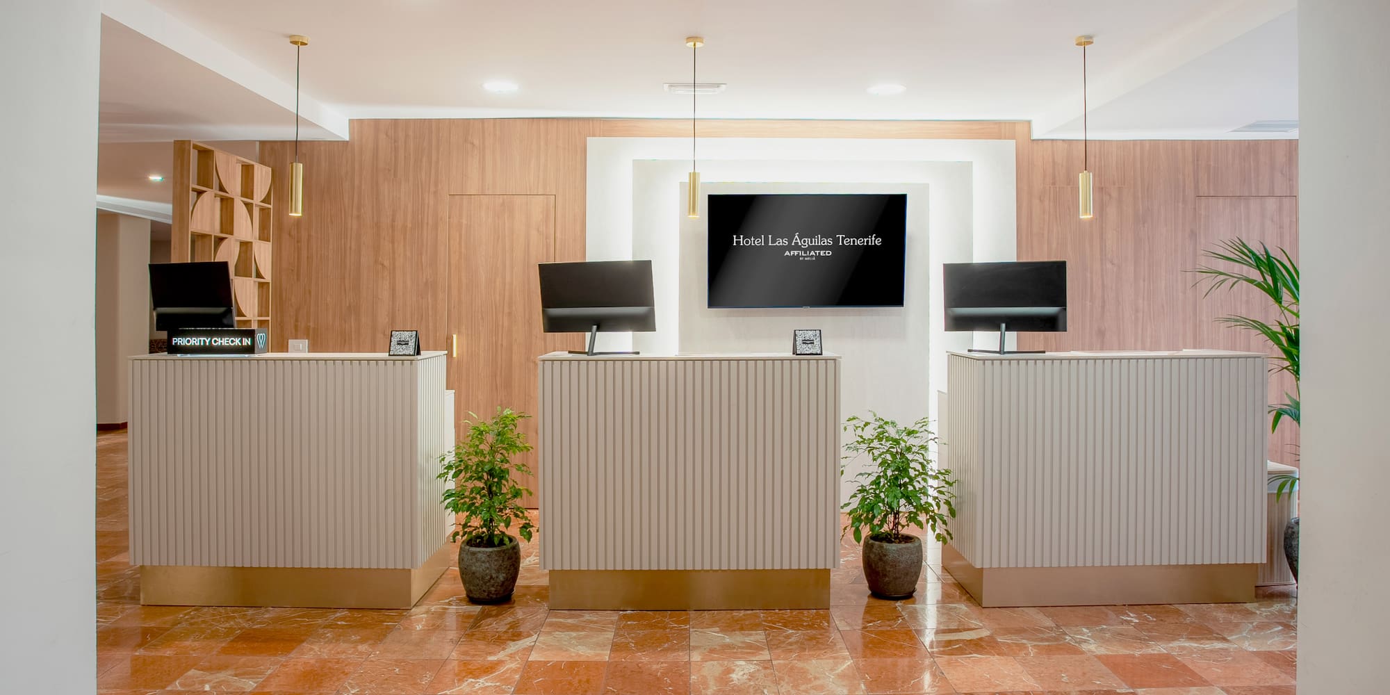 a reception area with a tv and plants