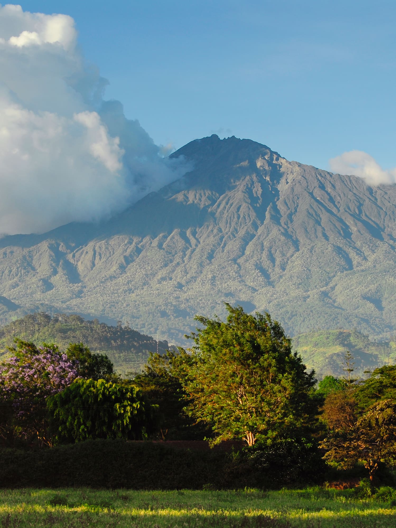 a mountain with trees and clouds