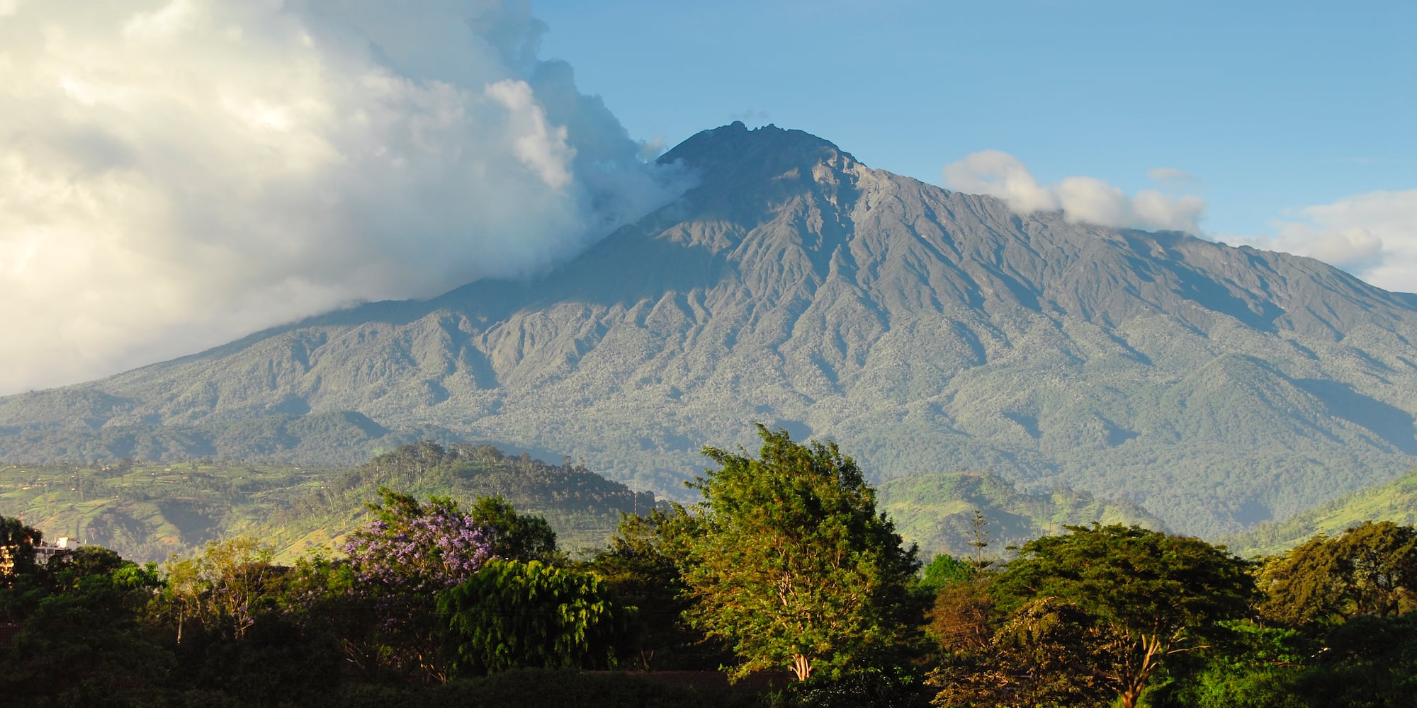 a mountain with trees and clouds