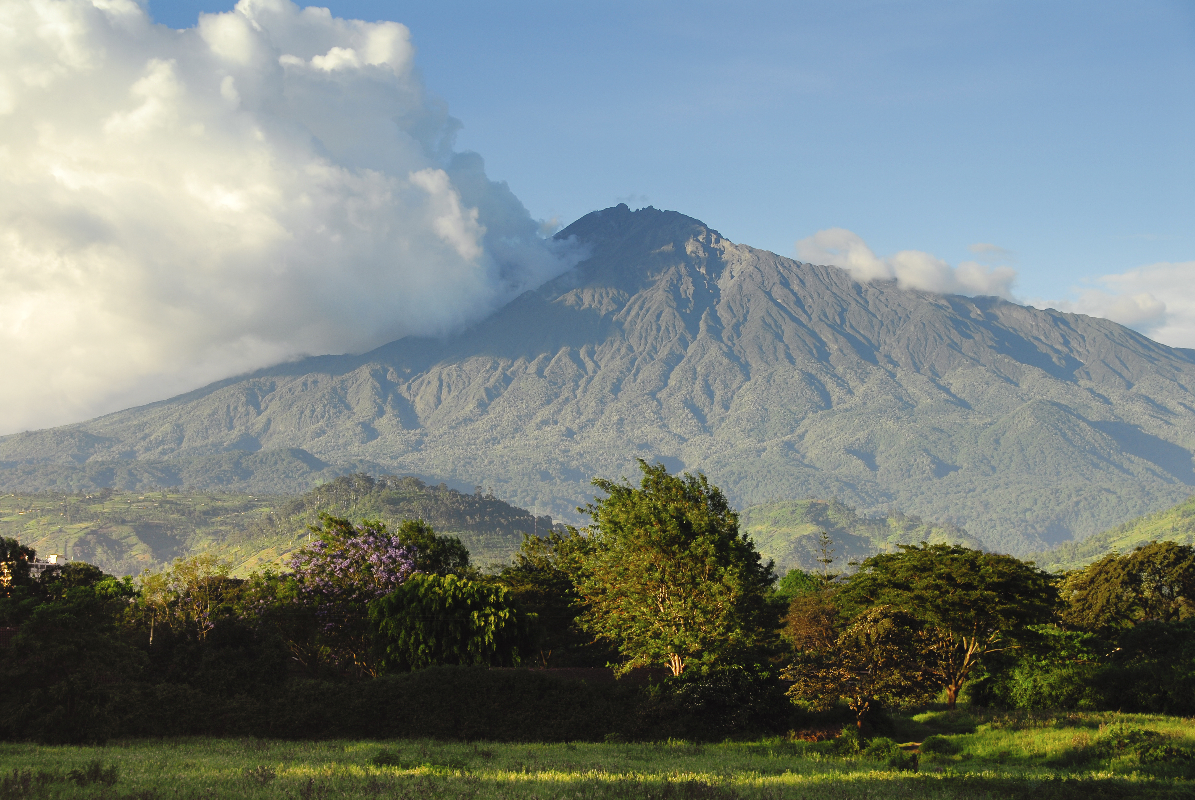 a mountain with trees and clouds