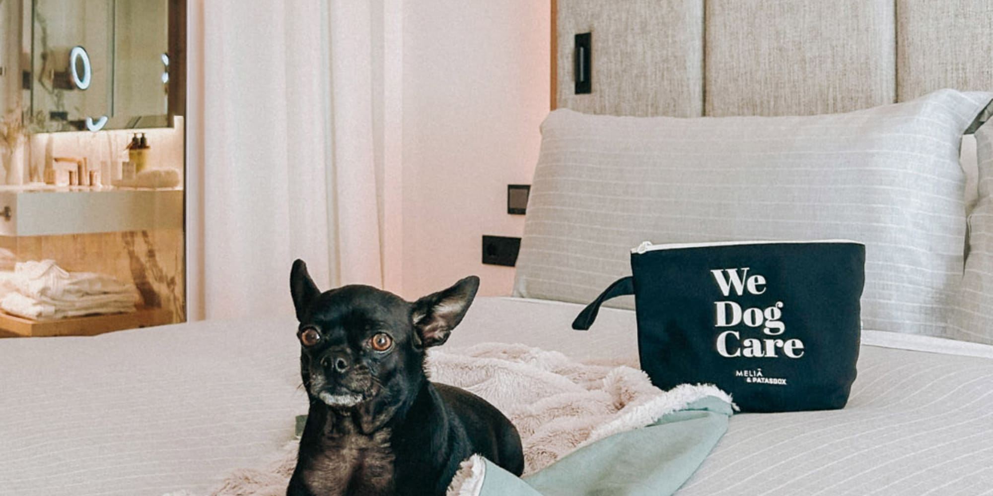 a dog lying on a bed