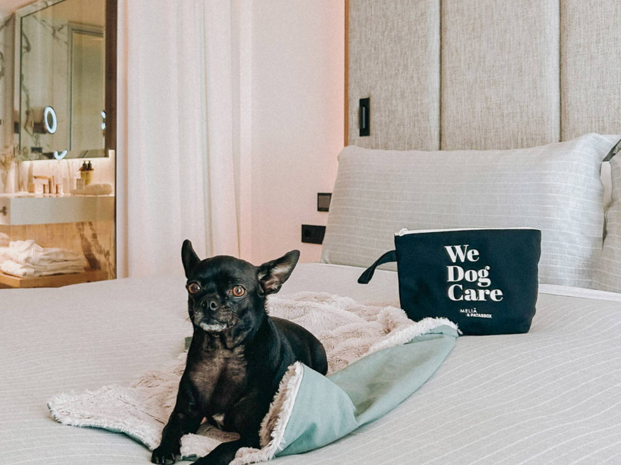 a dog lying on a bed