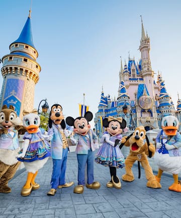 Activity Walt Disney World at Meliá Orlando Celebration