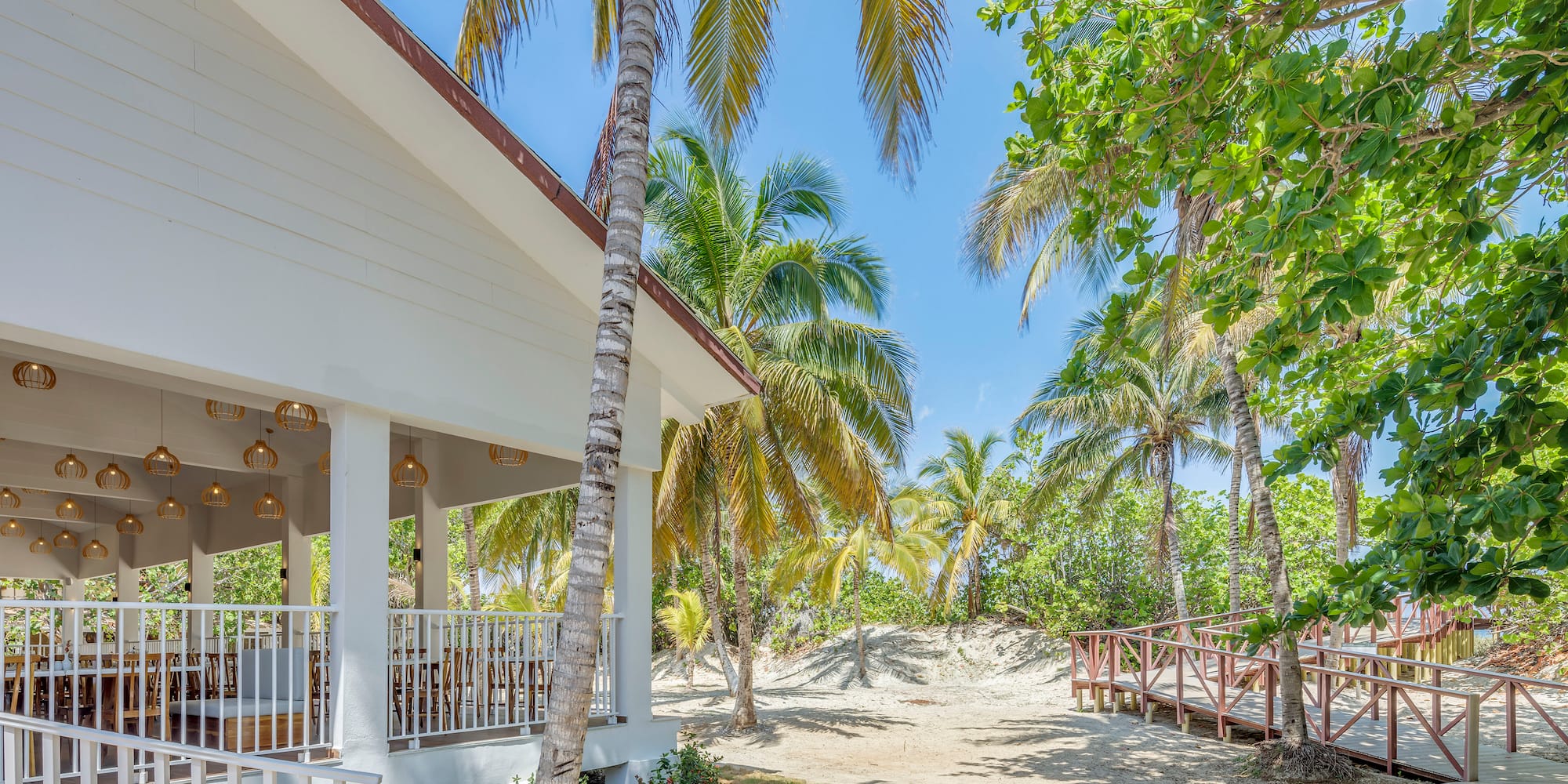 a building with palm trees and a walkway