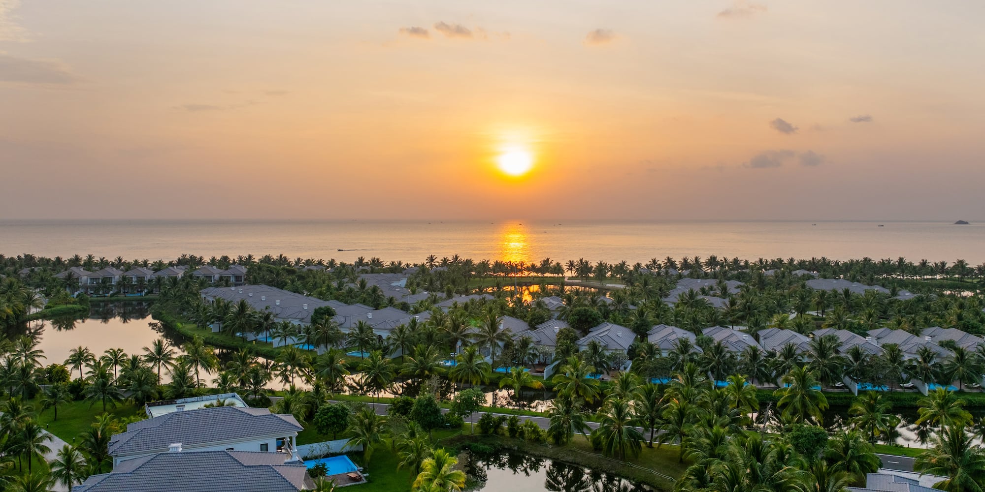 a group of houses with palm trees and a body of water