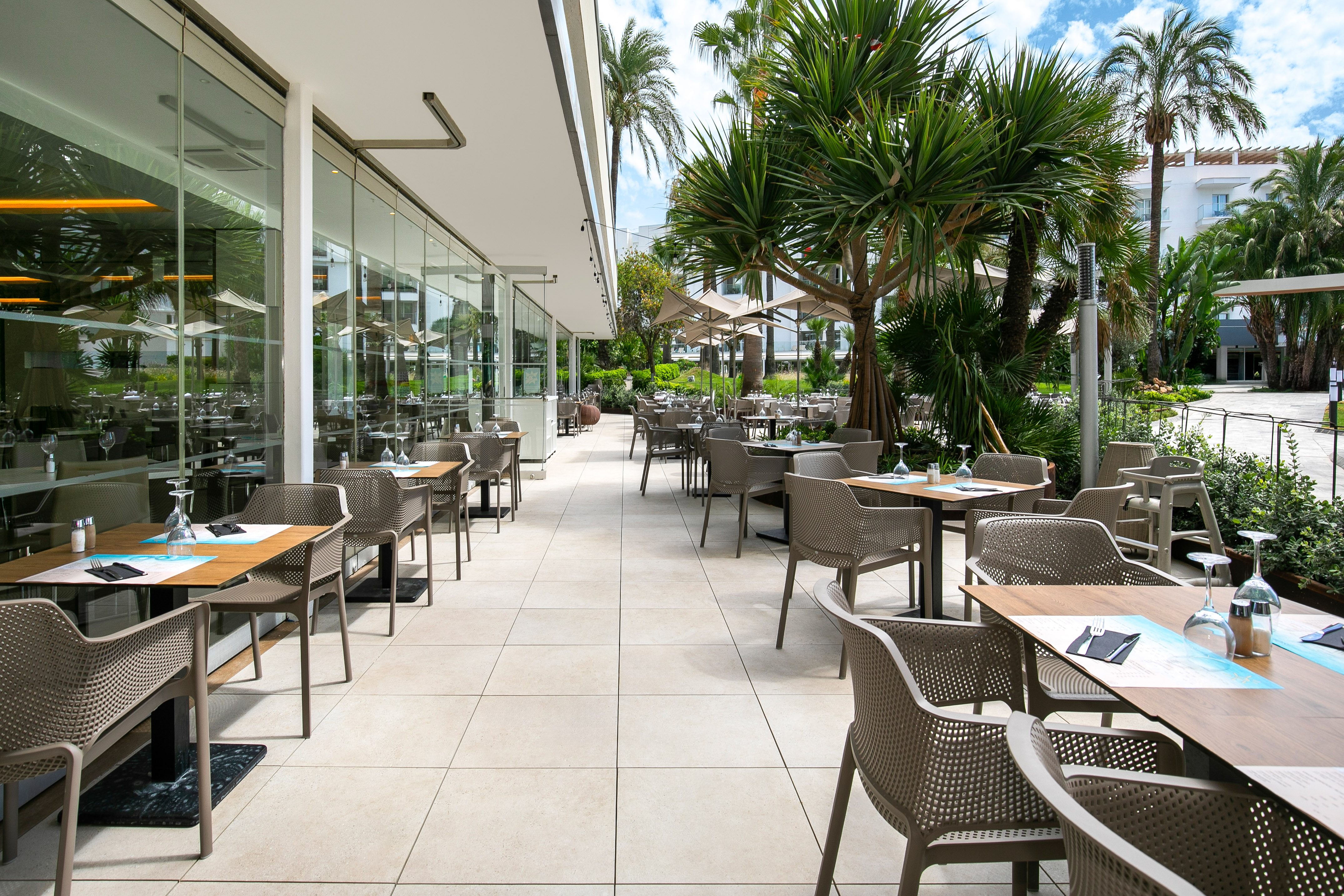 Resort outdoor dining terrace with set tables, palm trees, and glass building.