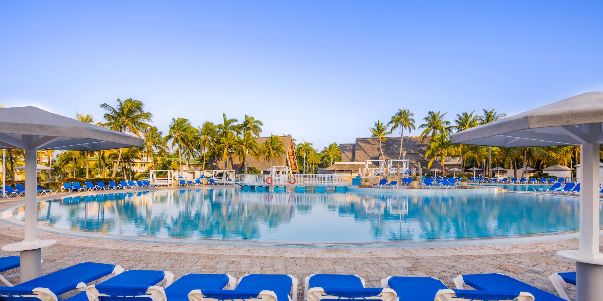 a pool with lounge chairs and palm trees